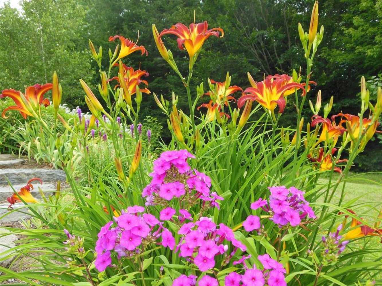 Gift card for Coppertoppe Inn And Retreat Center Gift card for Coppertoppe Inn And Retreat Center