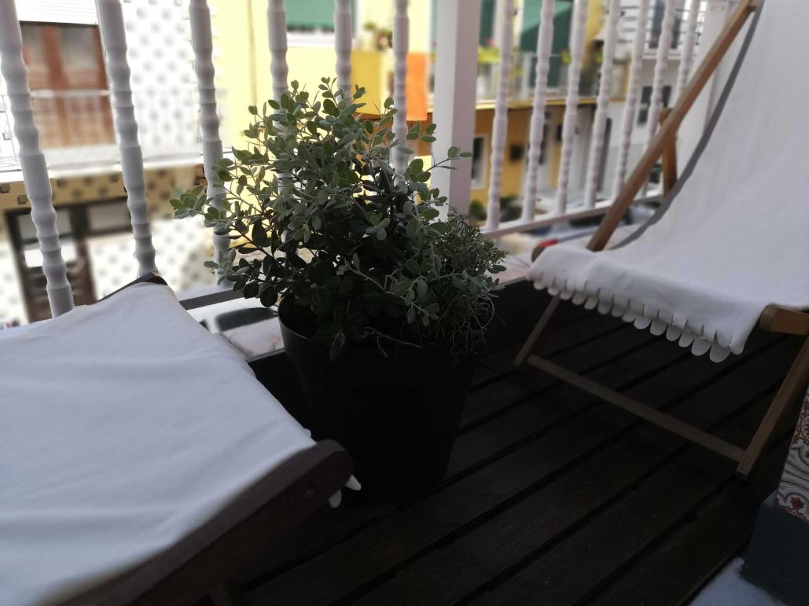 Gift card for O Violas - Art Coffee & Guesthouse