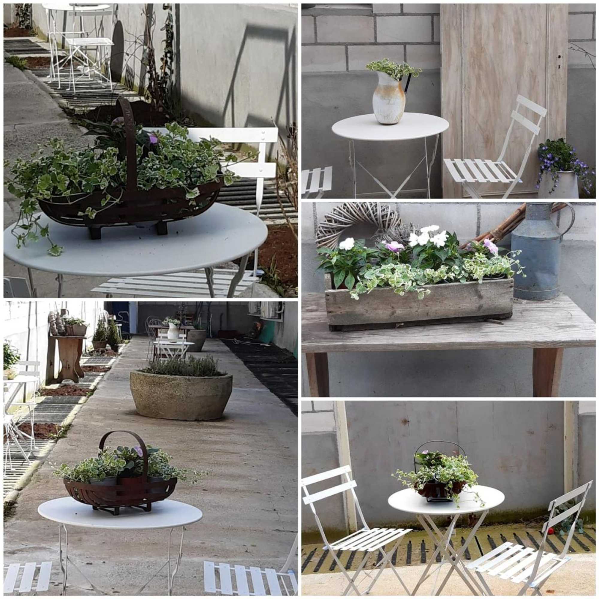 Gift card for Porcus Campus