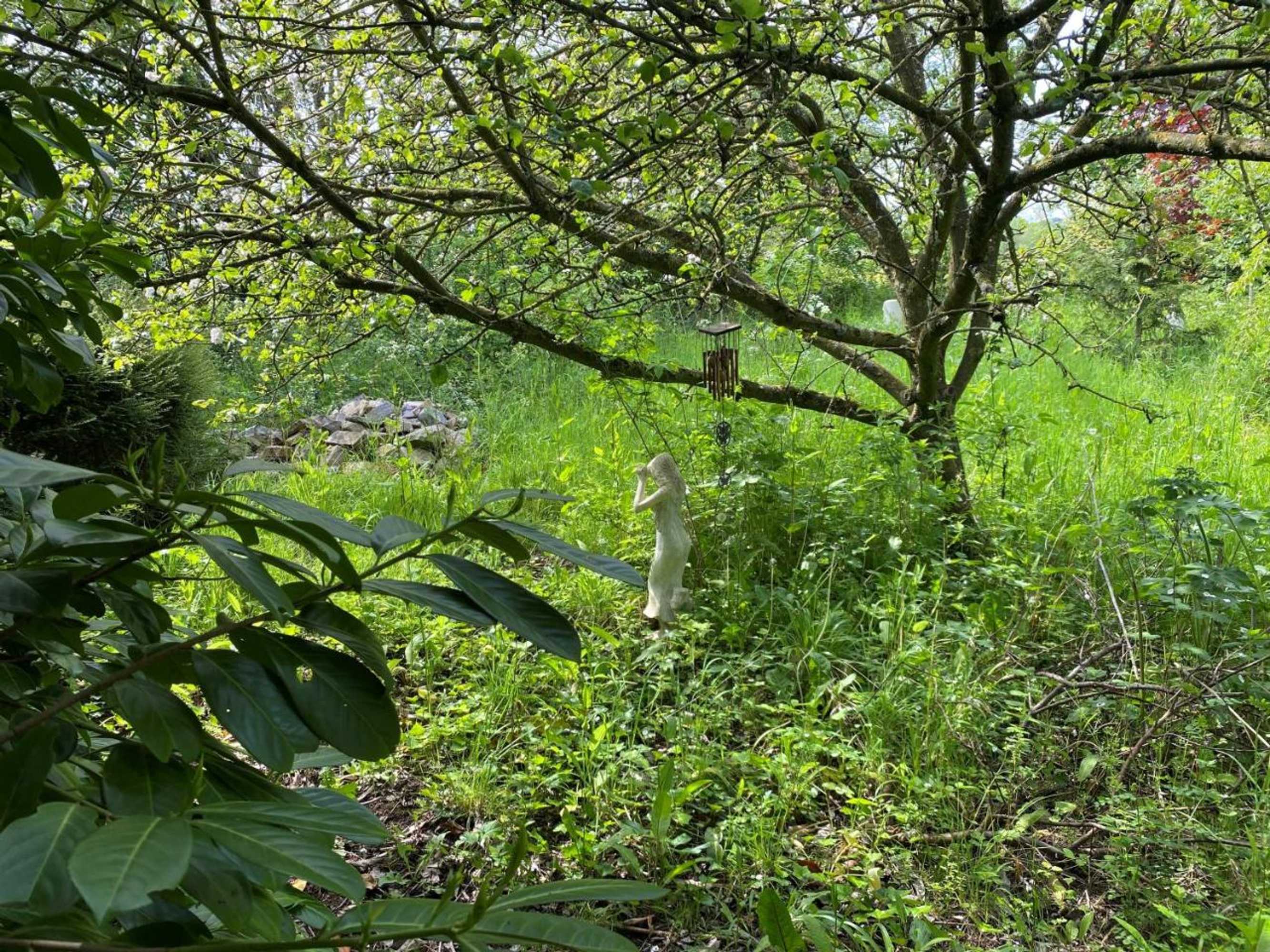 Gift card for The Hobbit House And Secret Garden