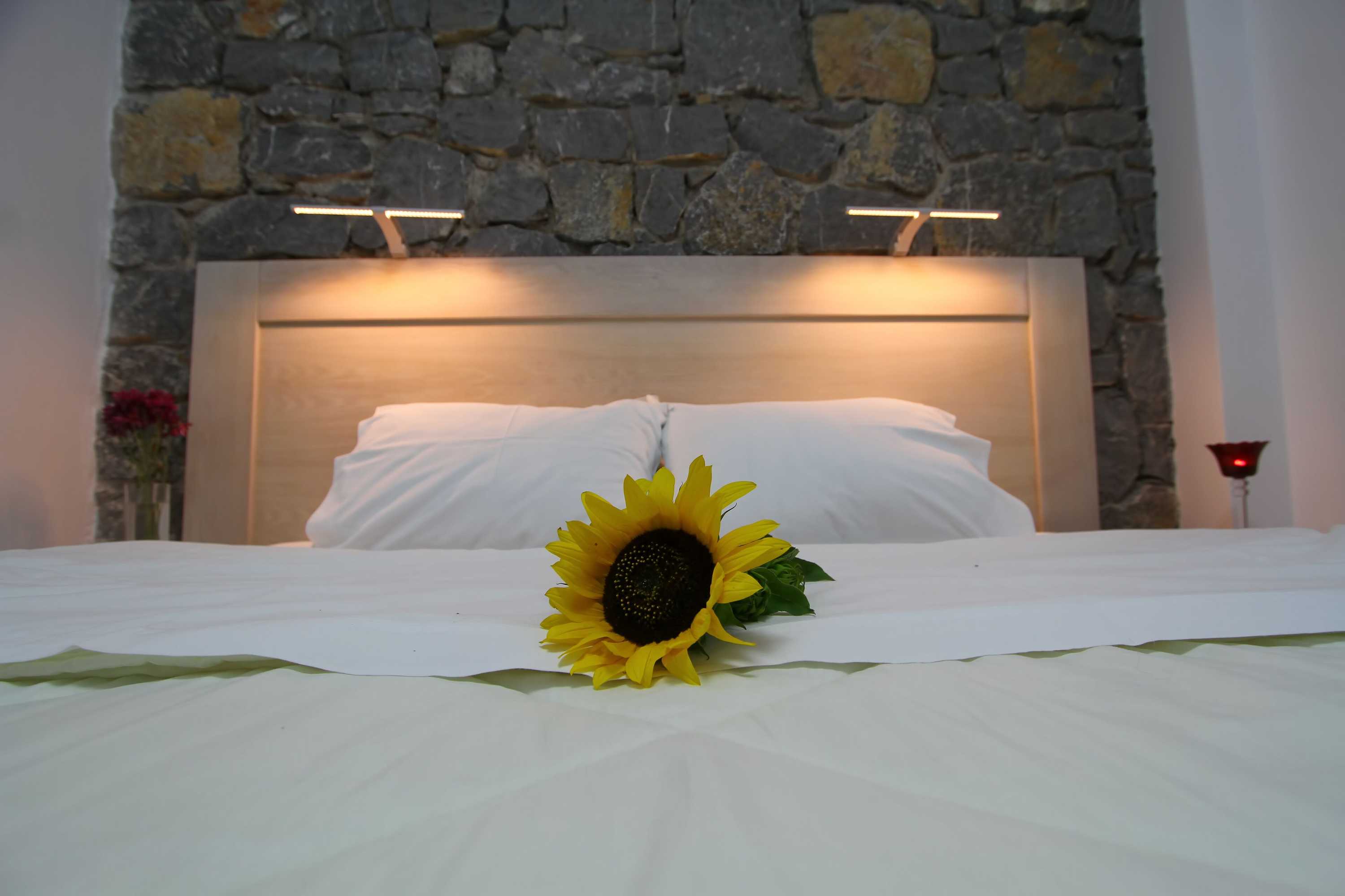 Gift card for Chios Xenia Studio & Apartments Gift card for Chios Xenia Studio & Apartments