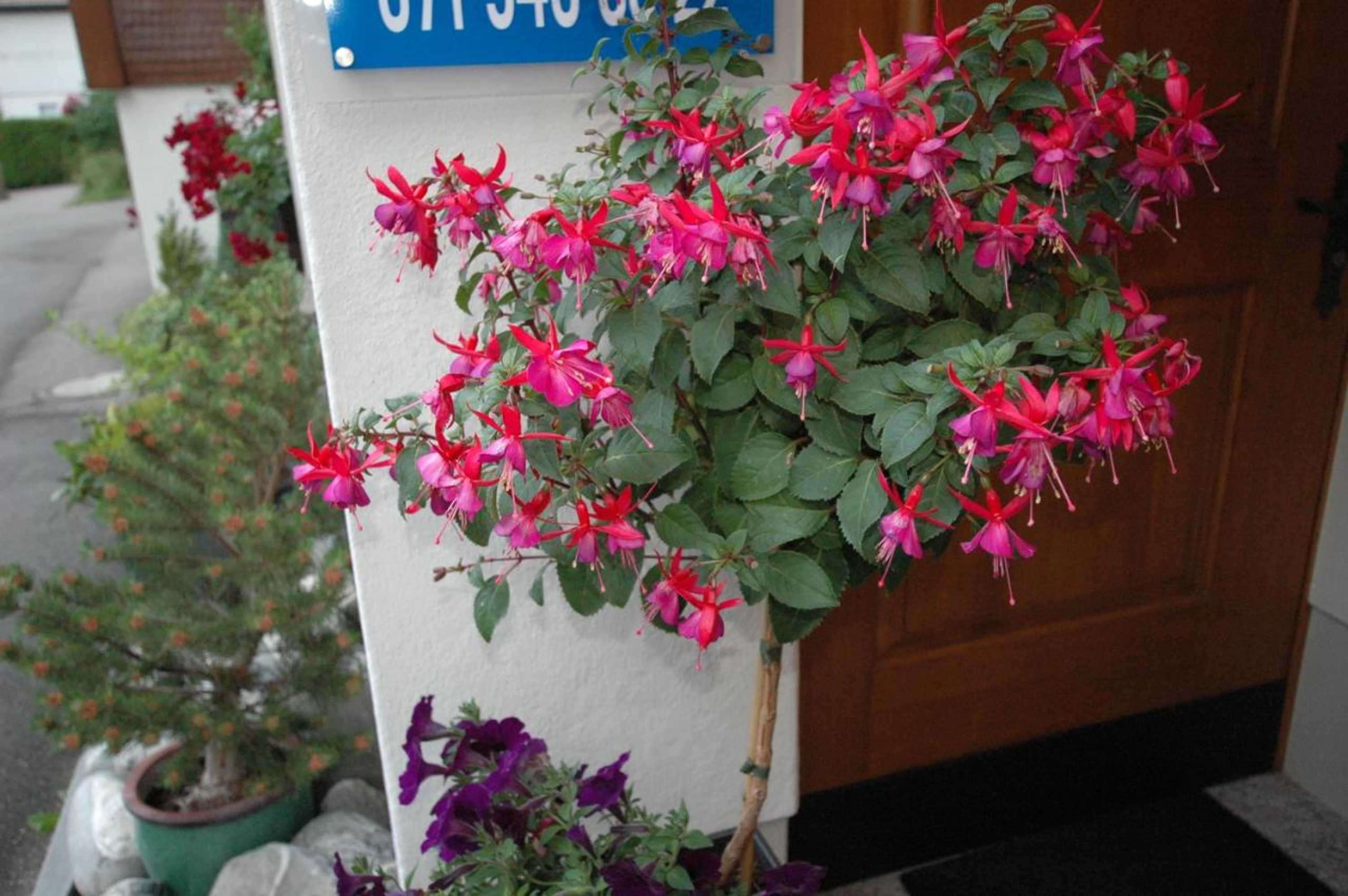 Gift card for Hotel Pension Im Dorf