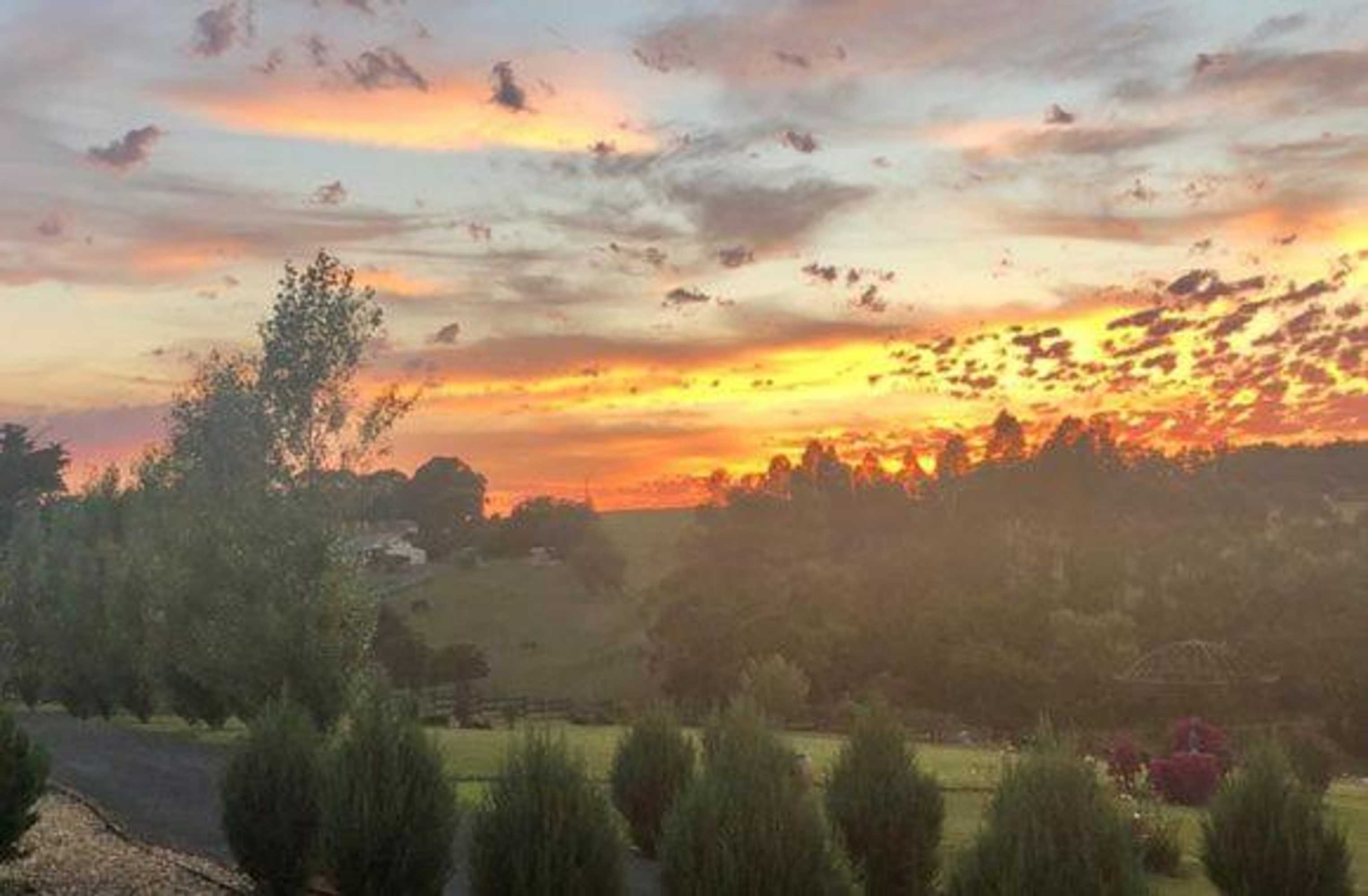 Gift card for Campania Spa Suite 1