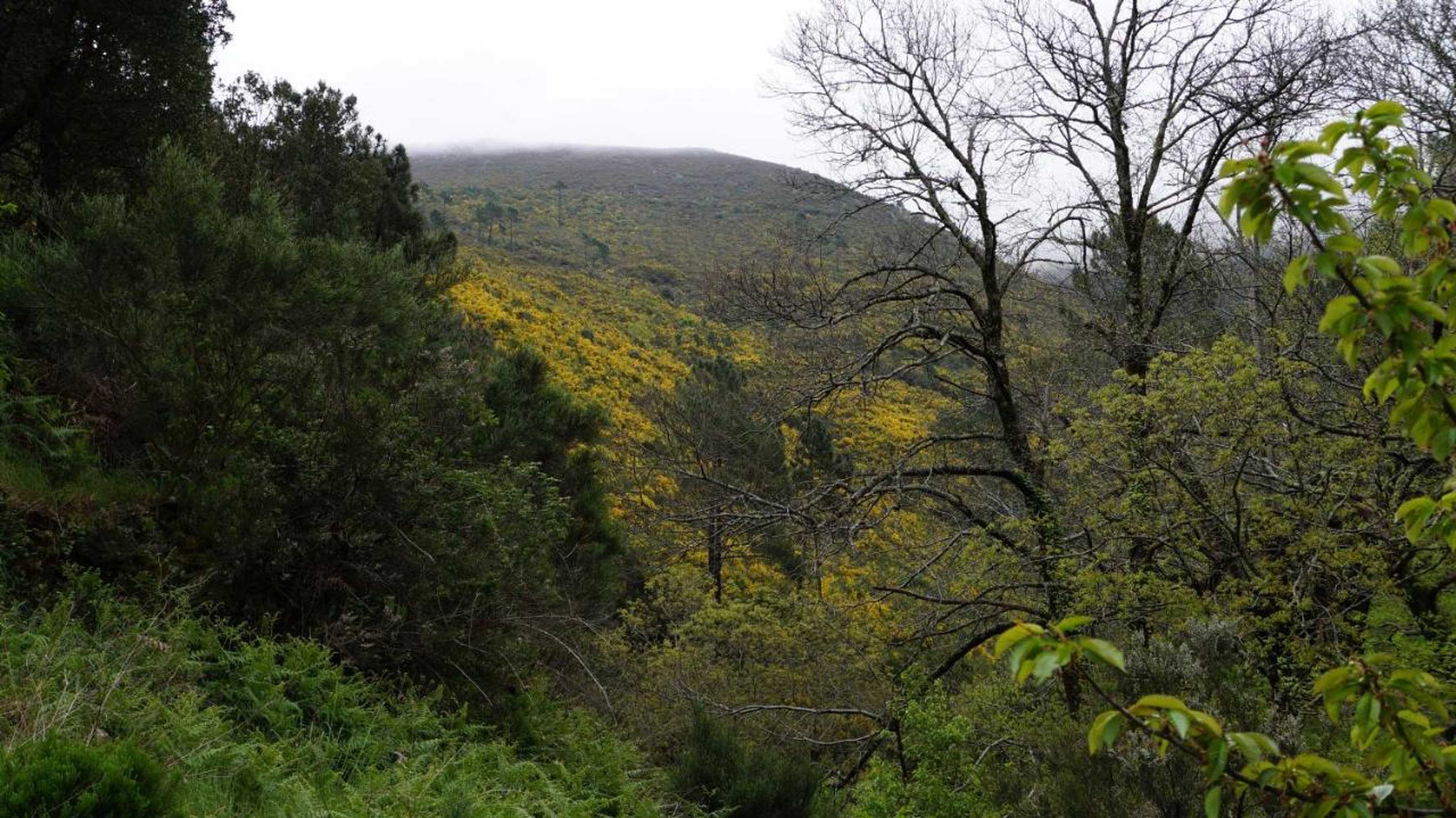 Gift card for Casa da Quelha