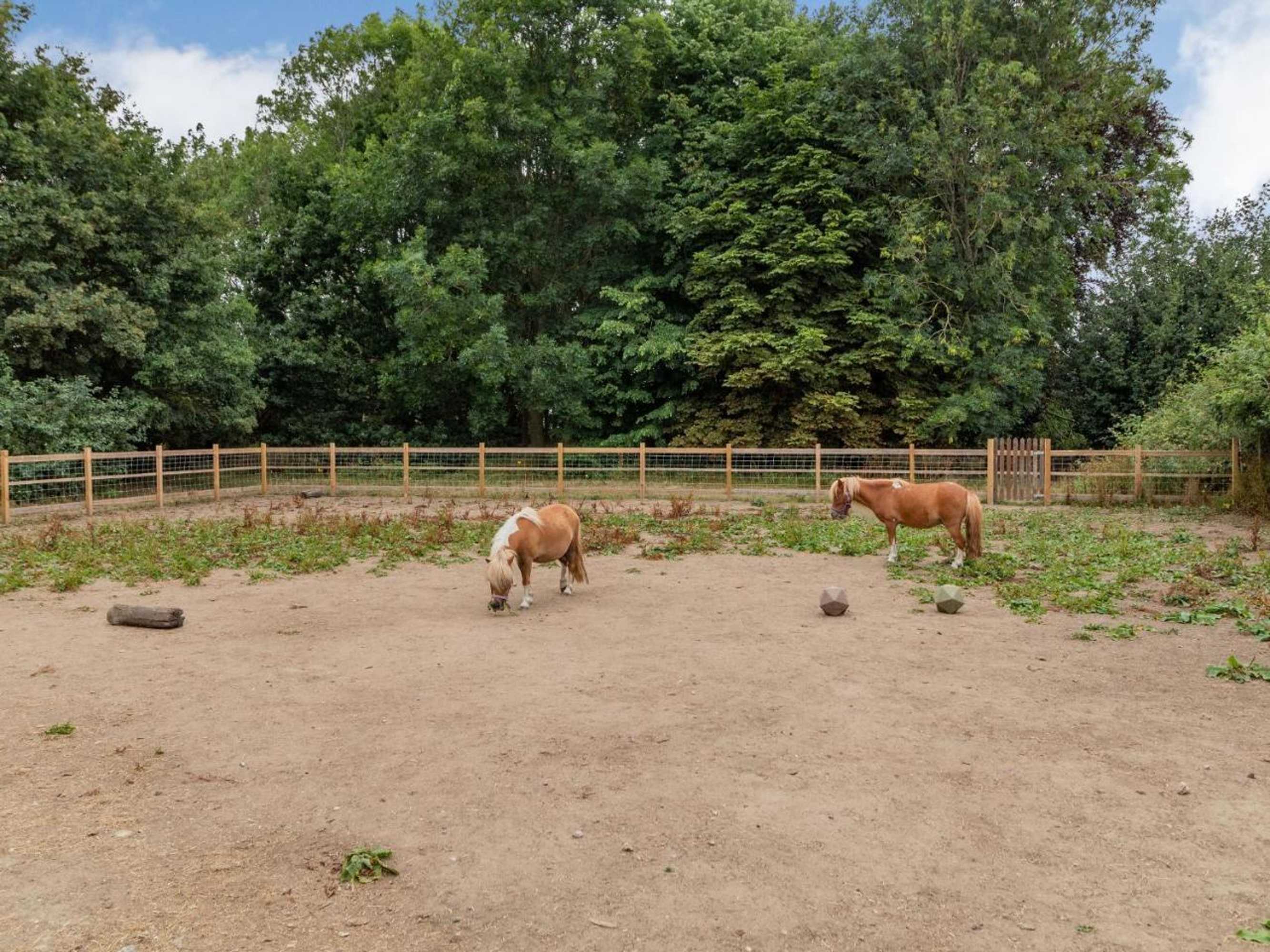 Gift card for The Nest Box