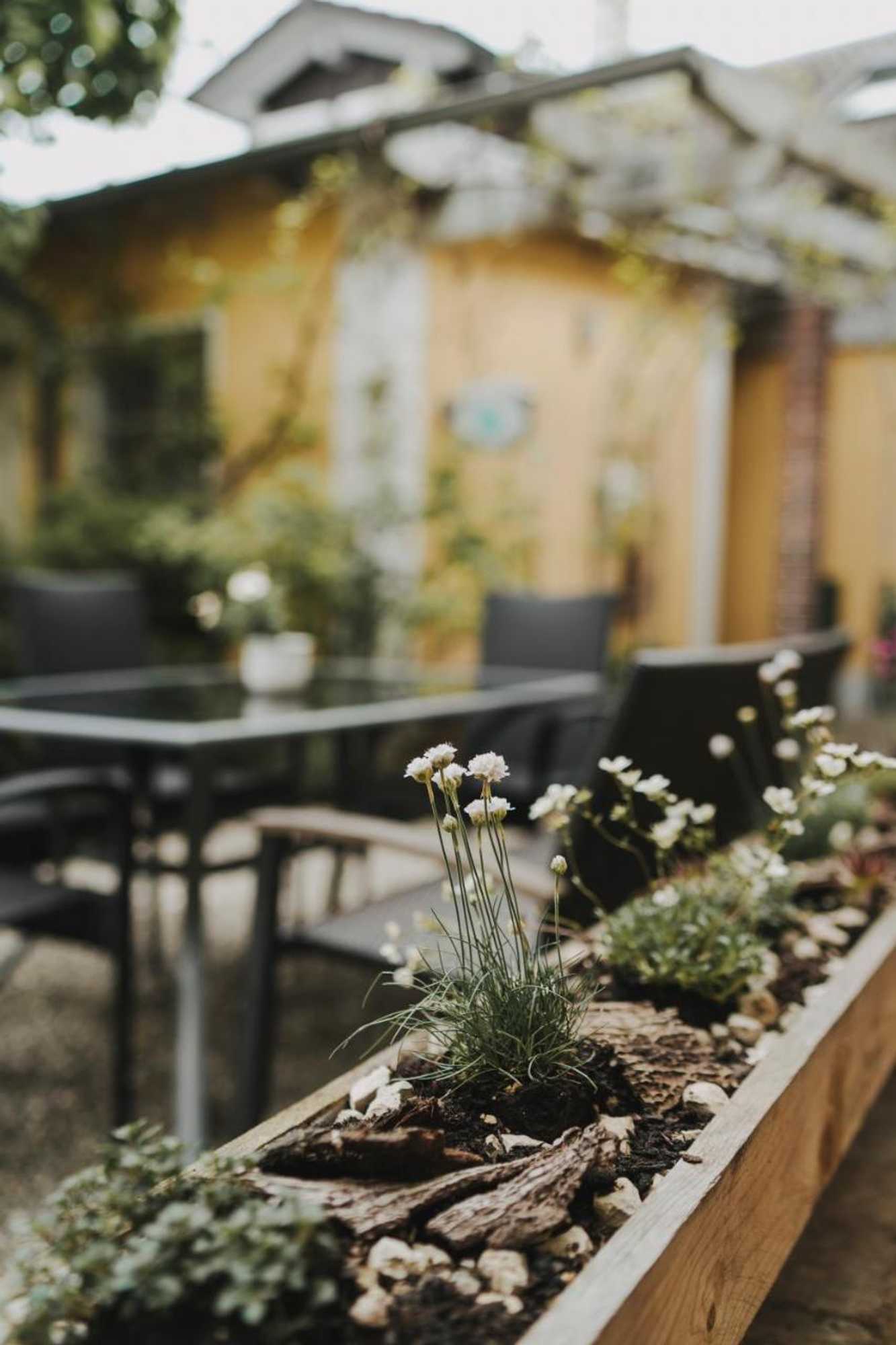 Gift card for Hotel Pension Futterknecht