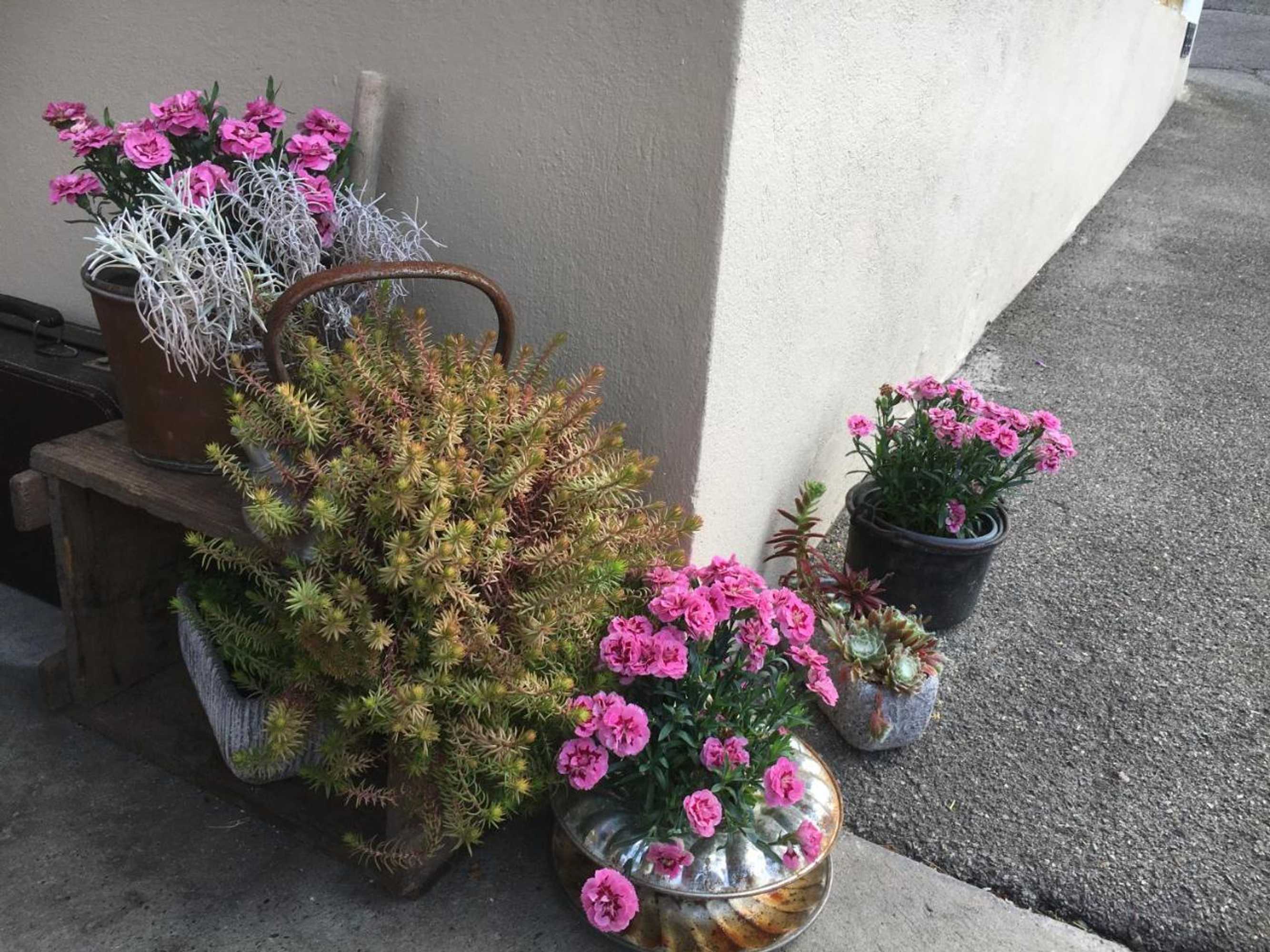 Gift card for Pension Chesselberg