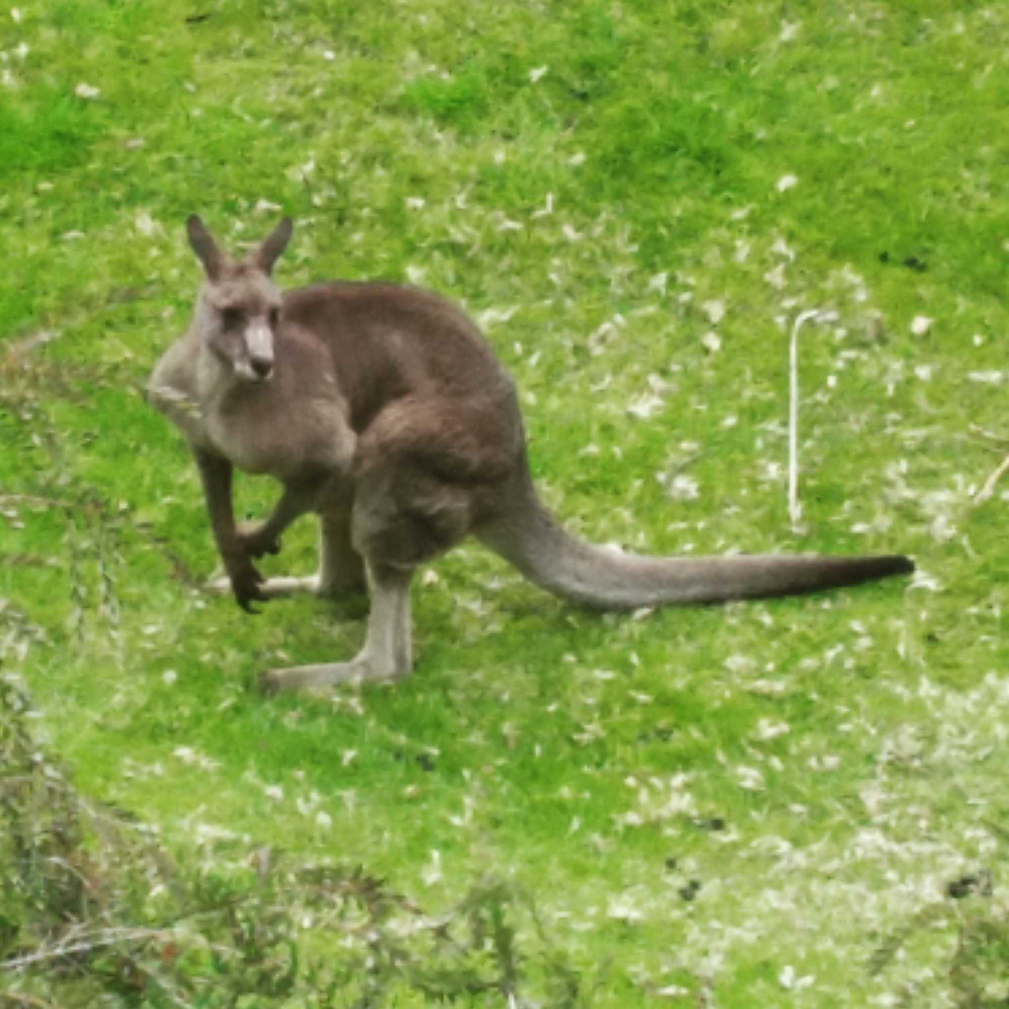 Gift card for Arthurs Views