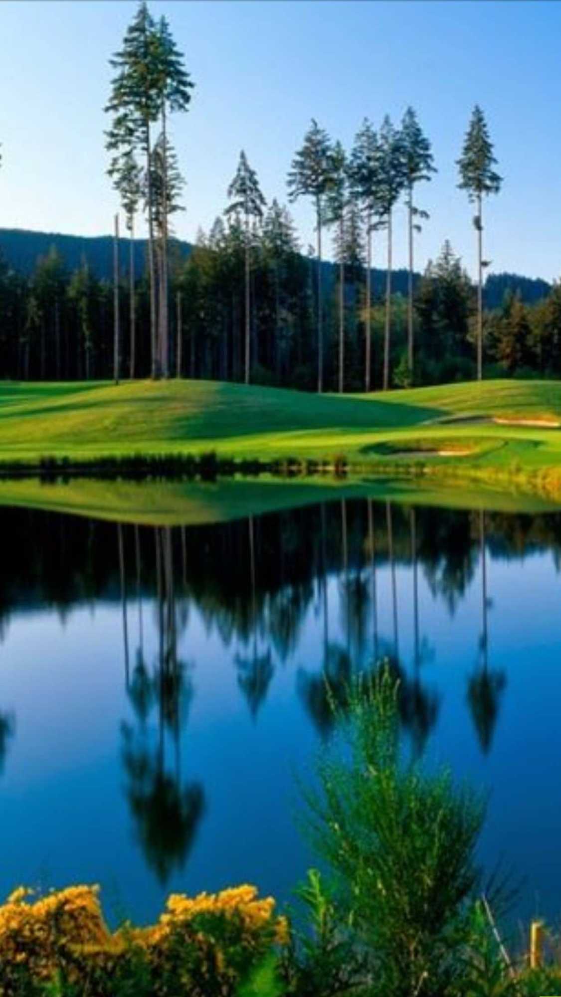 Gift card for Belfair Motel