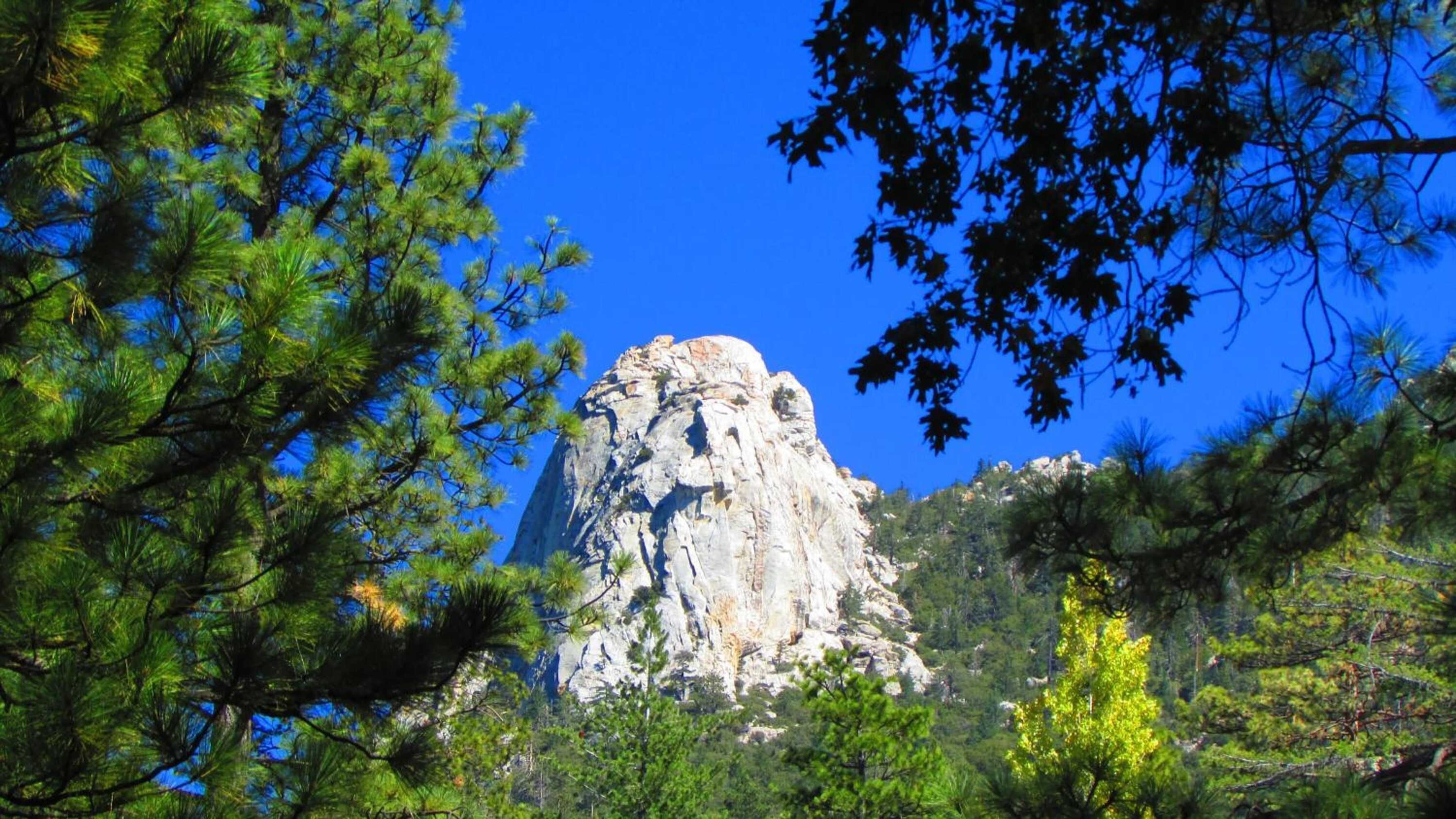 Gift card for Always Inn Idyllwild Vacation Cottages Gift card for Always Inn Idyllwild Vacation Cottages
