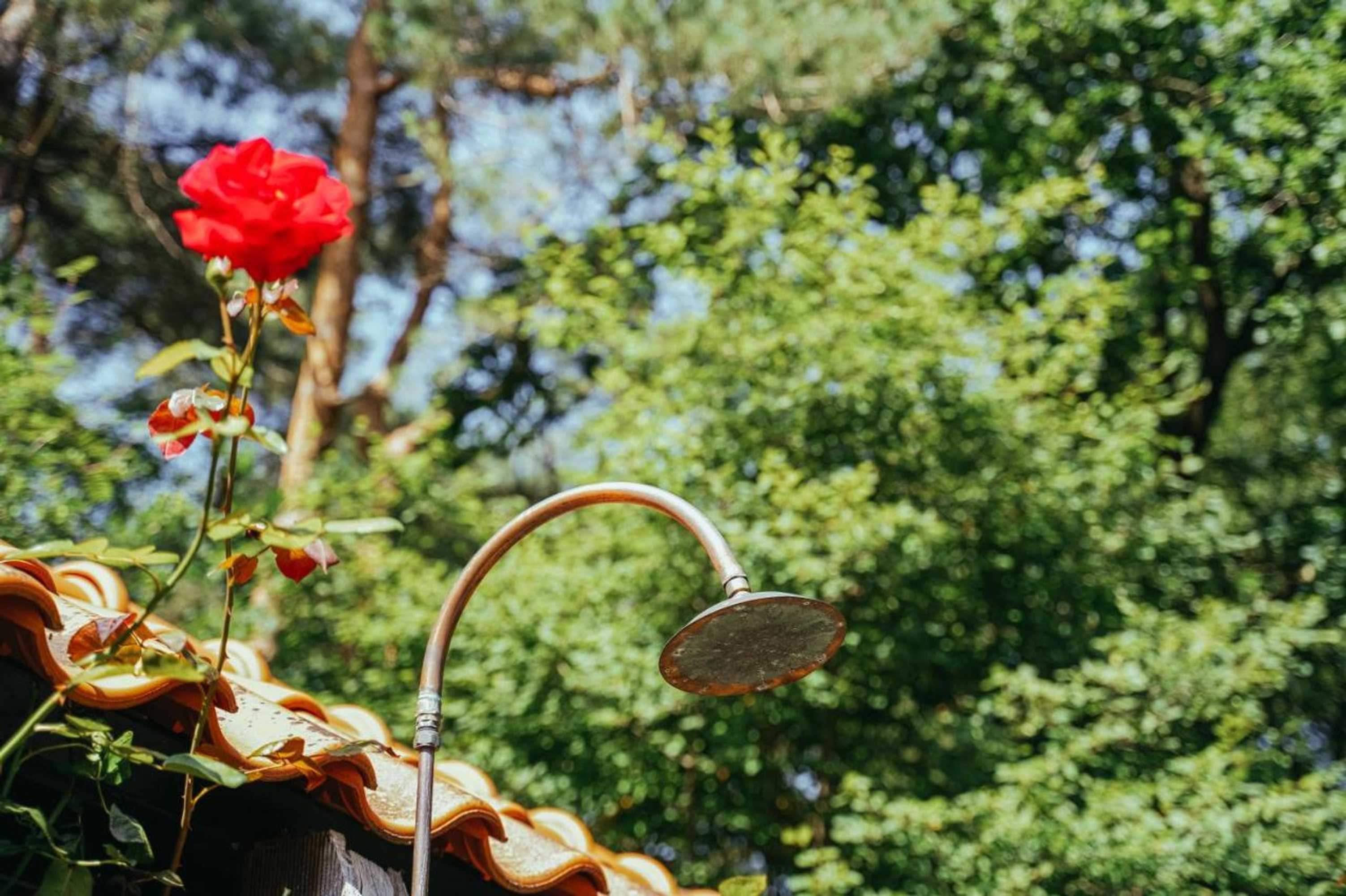 Gift card for Cottage Hazenhorst - Paradijs Aan Het Bos