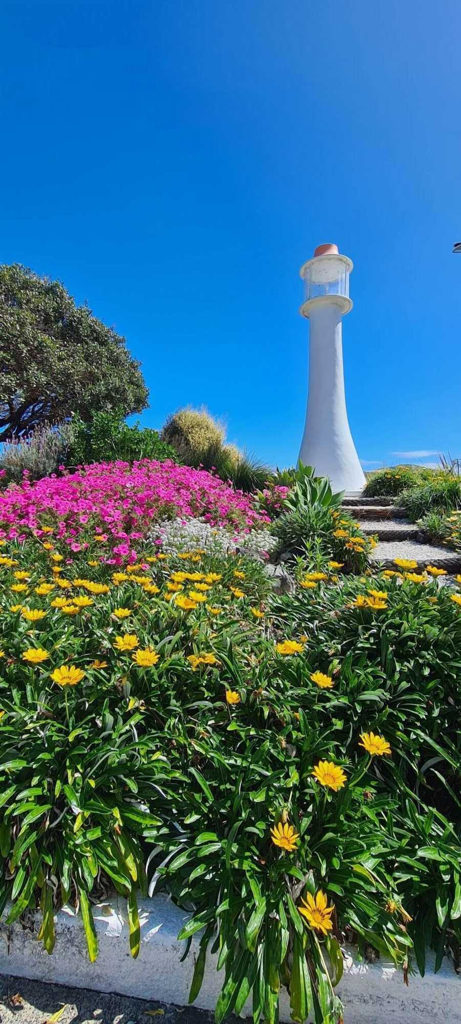 Gift card for Opononi Lighthouse Motel Gift card for Opononi Lighthouse Motel