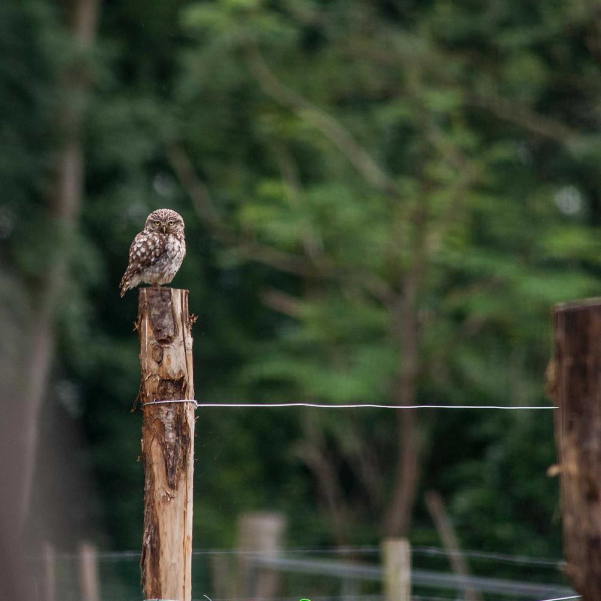 Gift card for B&b Achterhoeks Halle