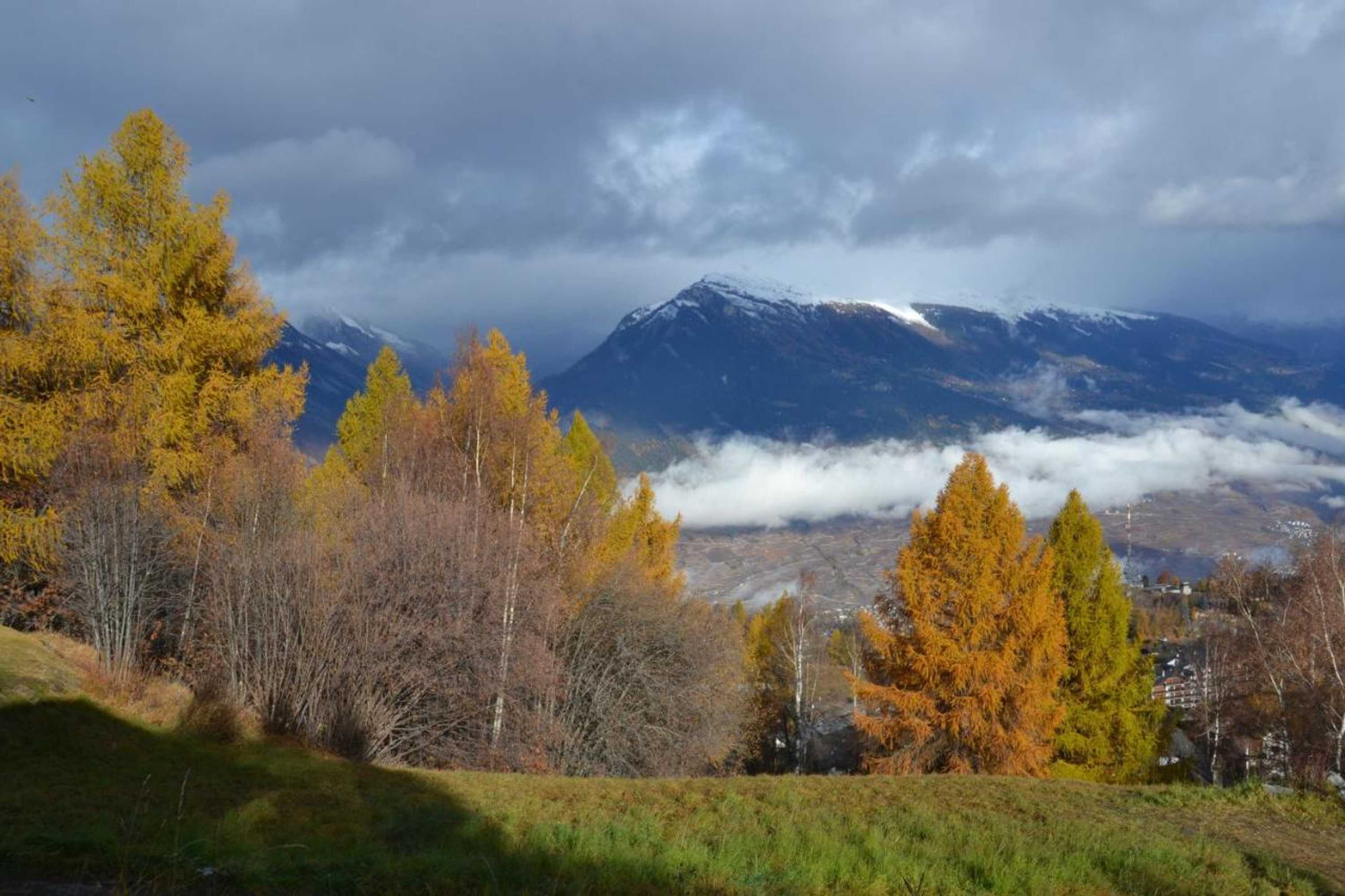 Gift card for Les 2 Sabots