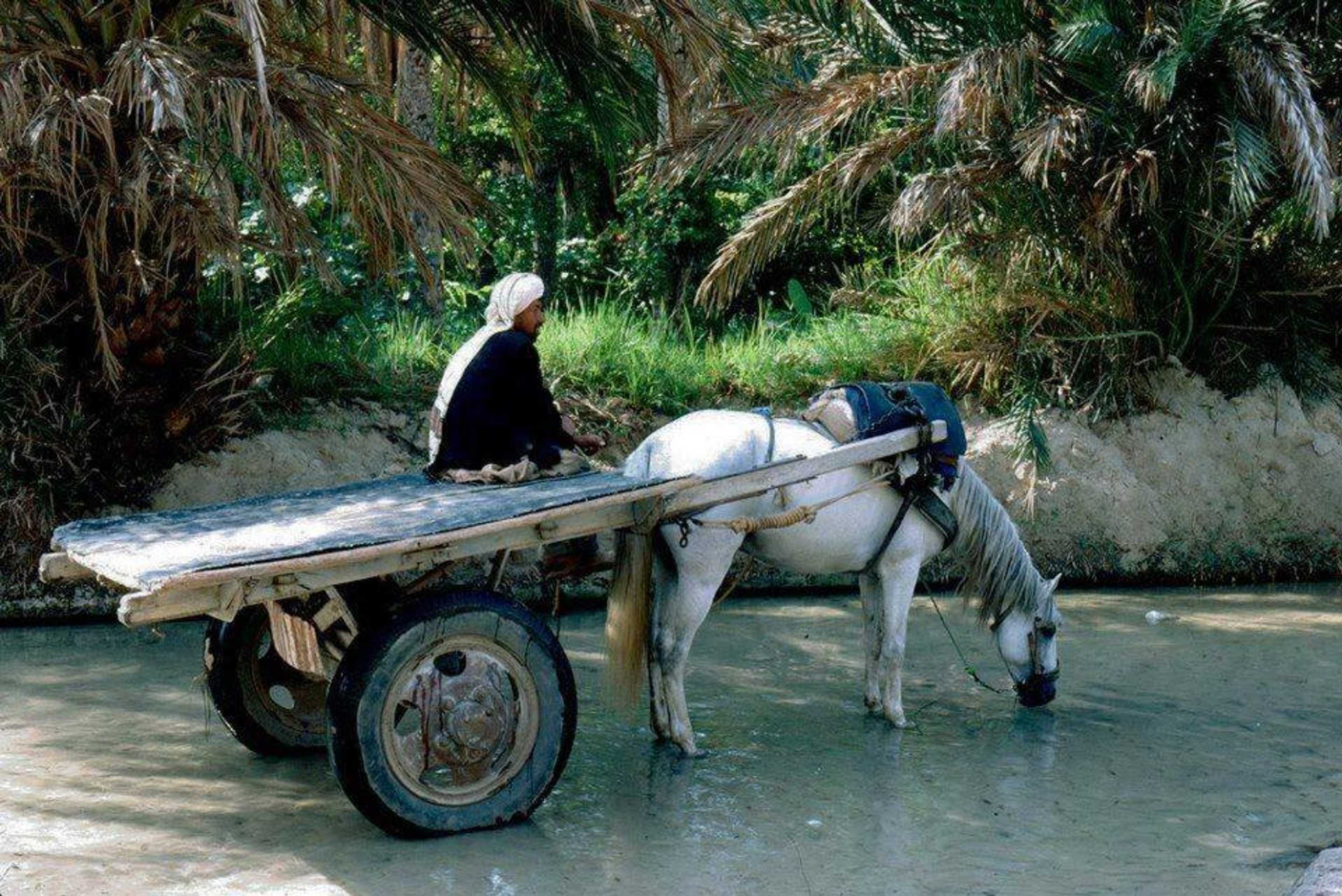 Gift card for Maison D'hôtes Villa Fatima