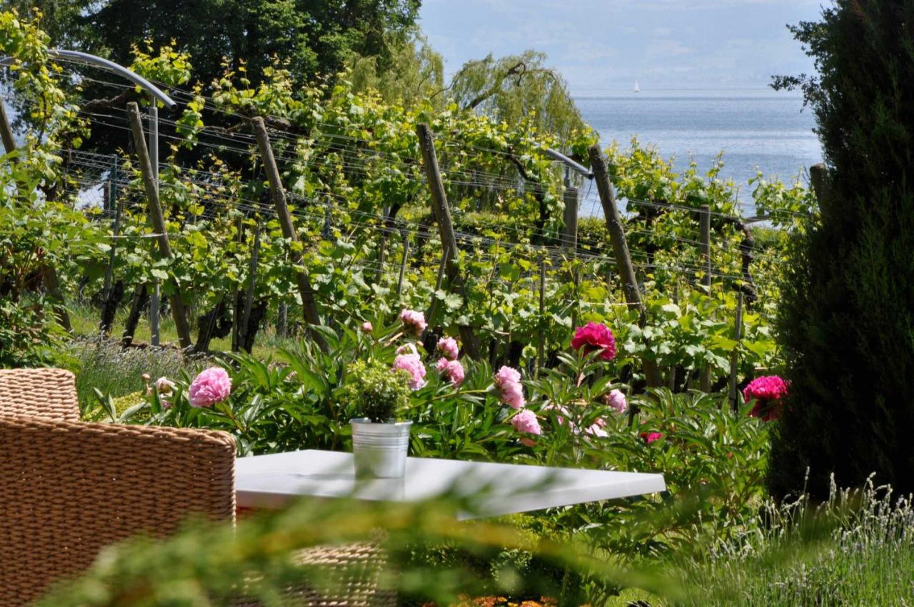 Gift card for Appartementhotel Röhrenbach