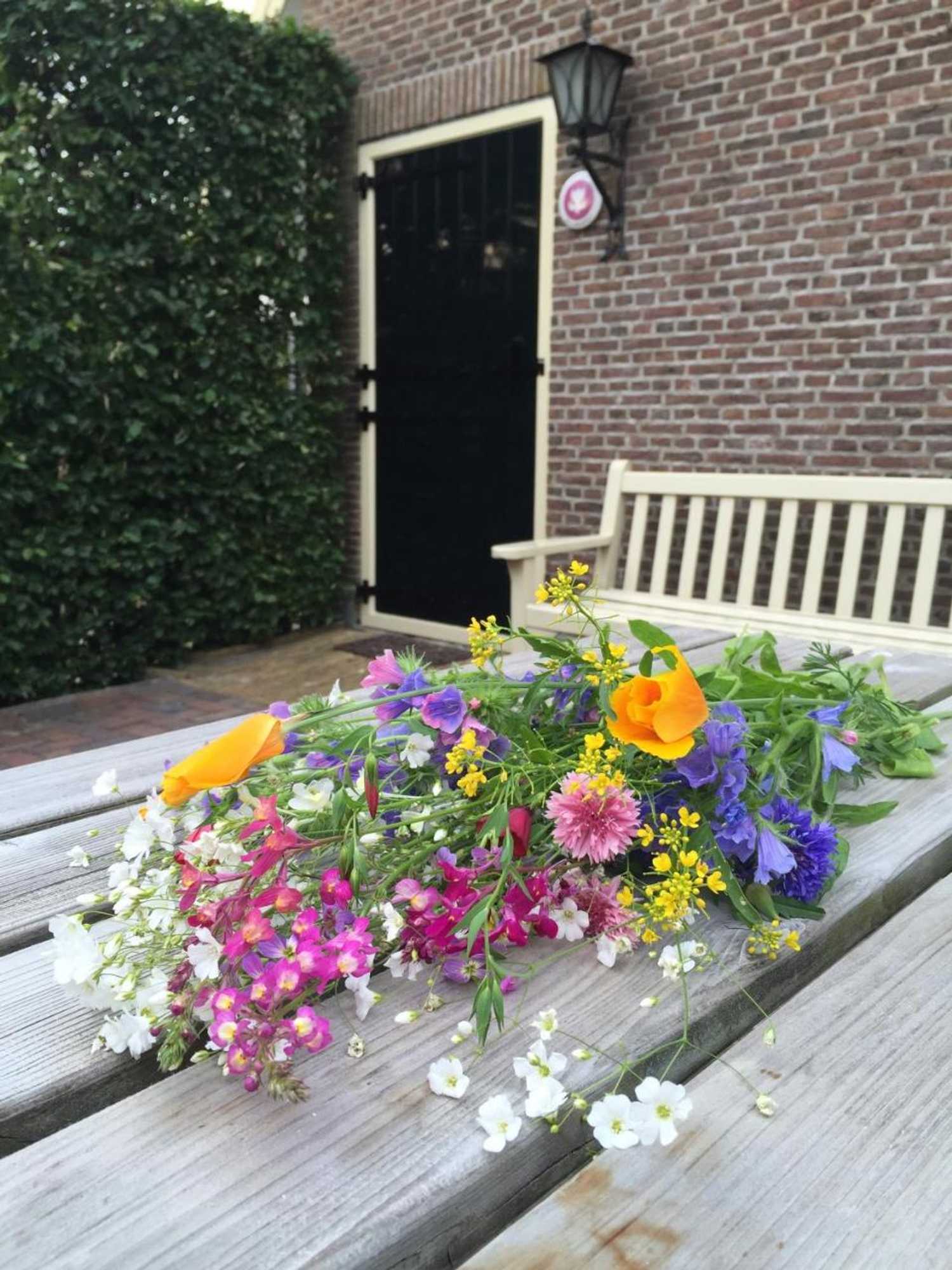 Gift card for Bed & Breakfast Pax Tibi