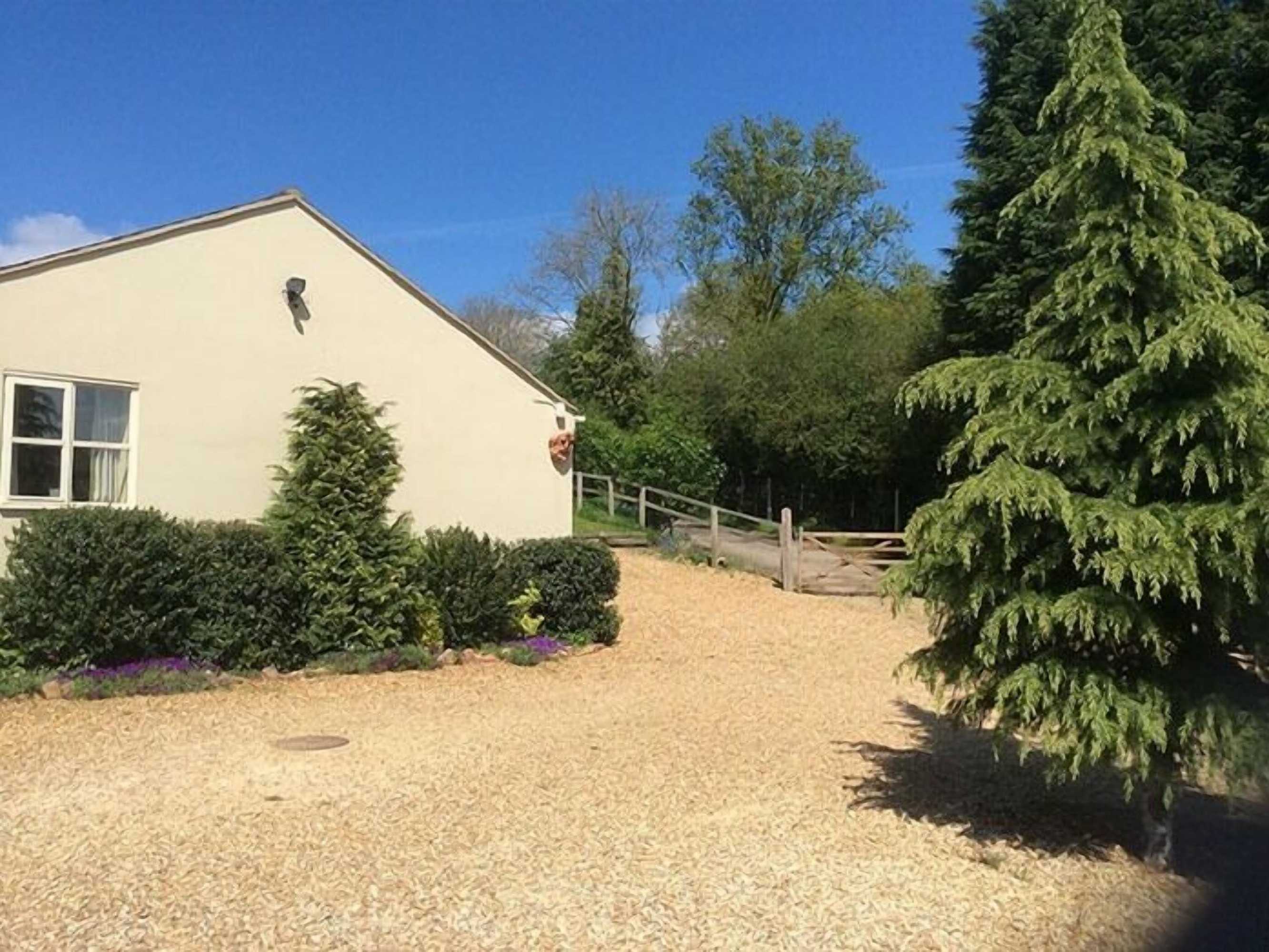 Gift card for Broccoli Bottom