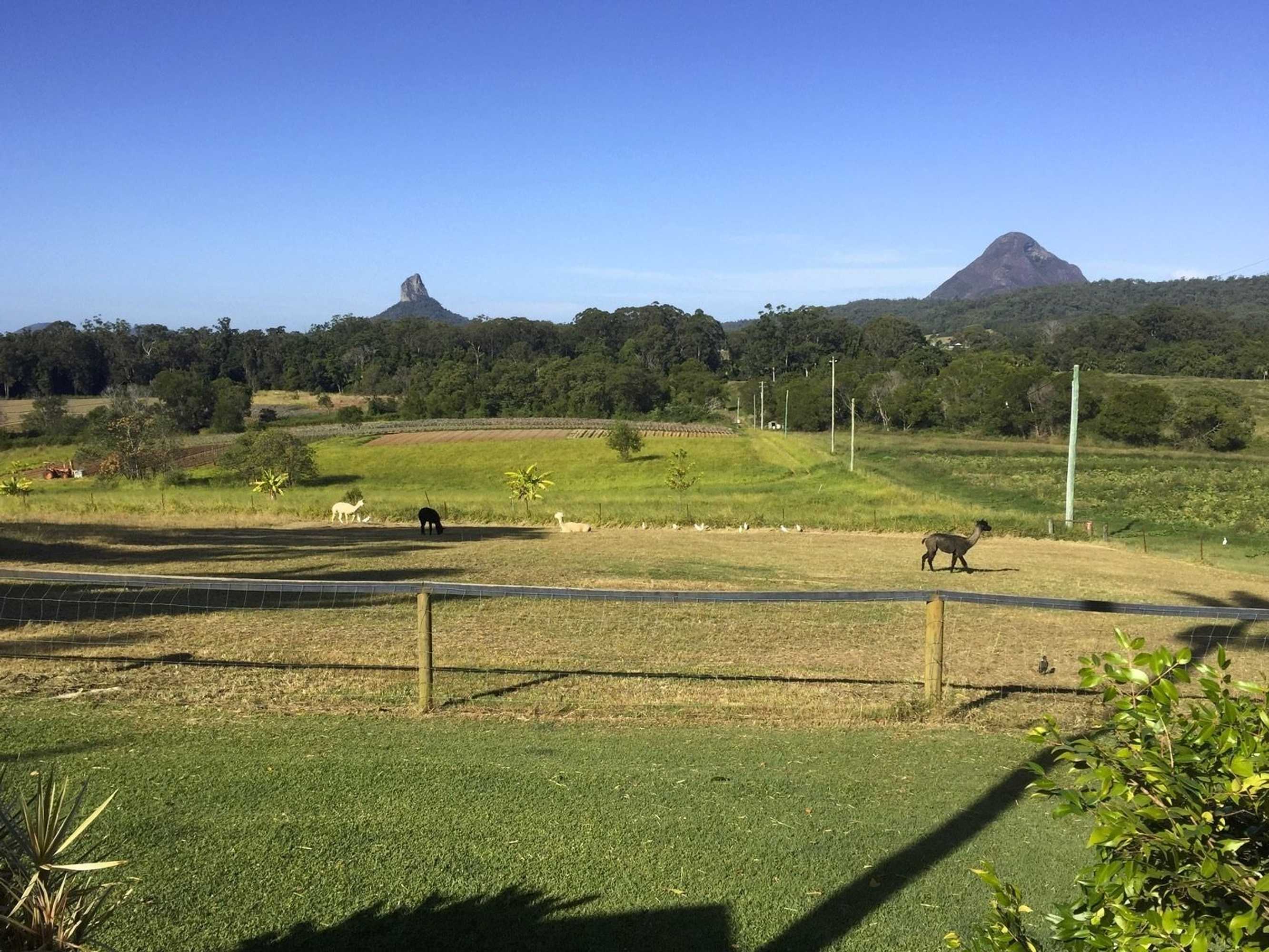 Gift card for Blackwattle Farm B&b And Farm Stay