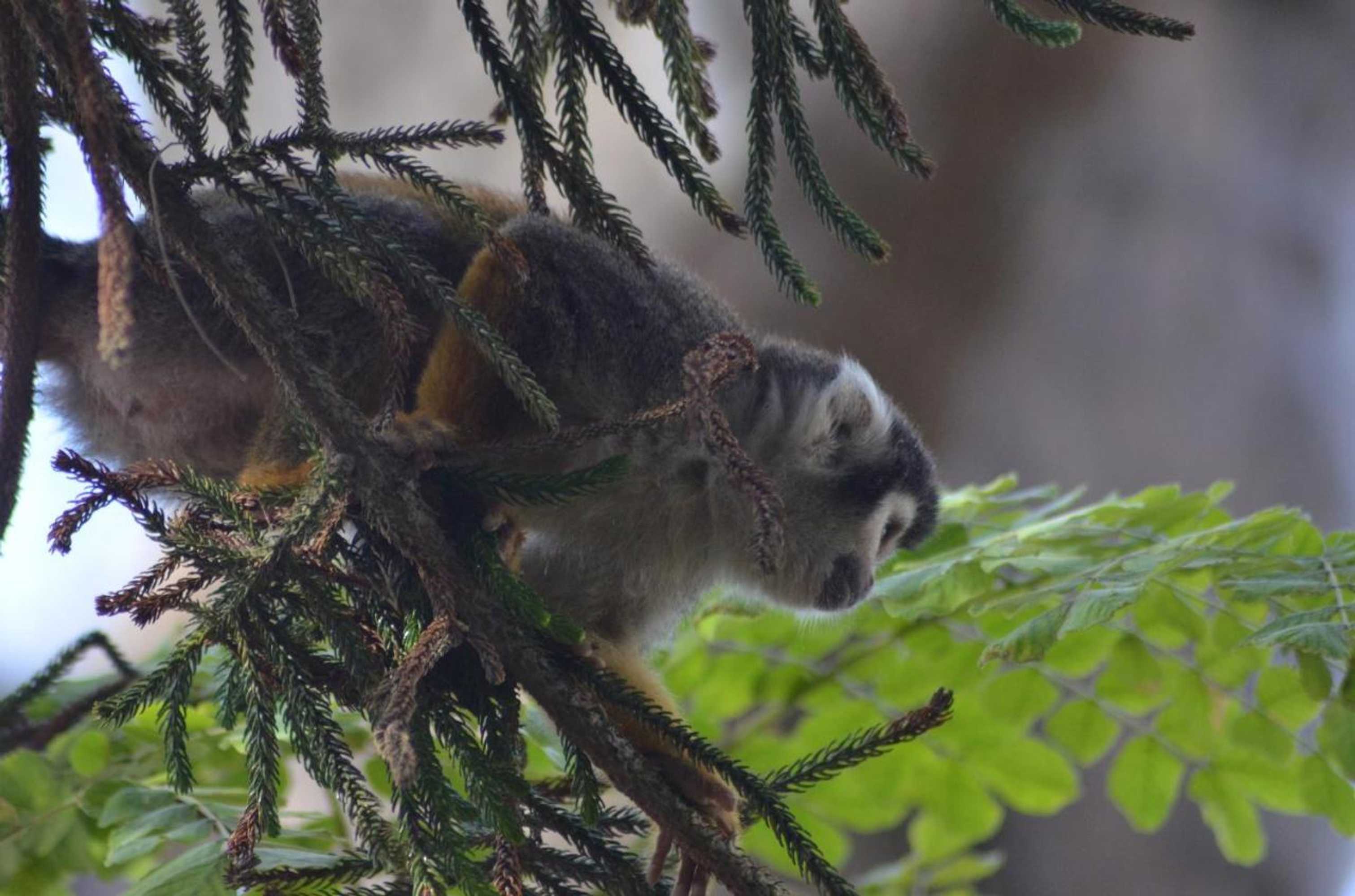 Gift card for Hostería Ecológica El Faro Gift card for Hostería Ecológica El Faro