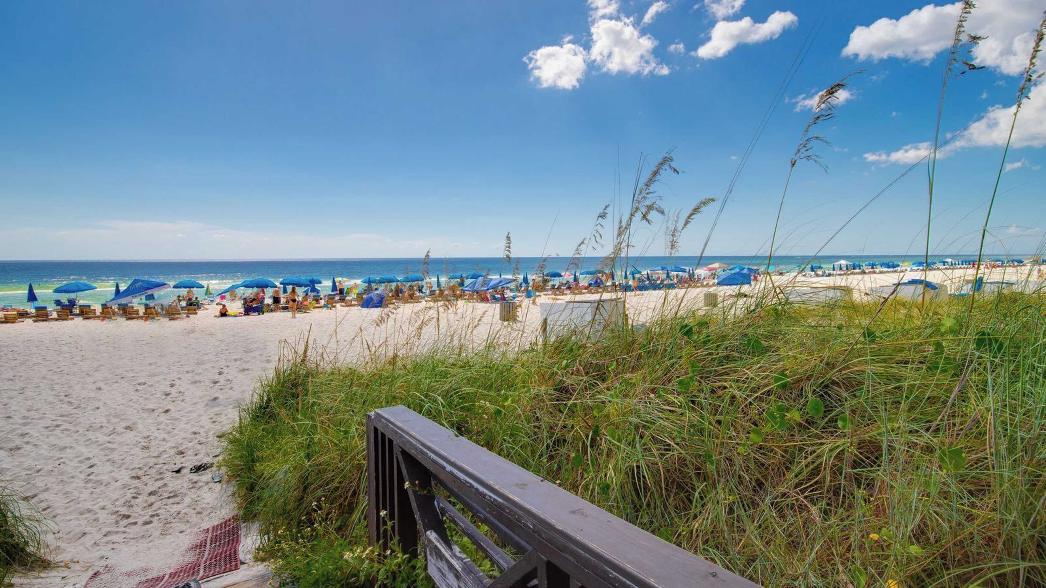 Gift card for Shores of Panama 2123 - Seas The Moment Gift card for Shores of Panama 2123 - Seas The Moment