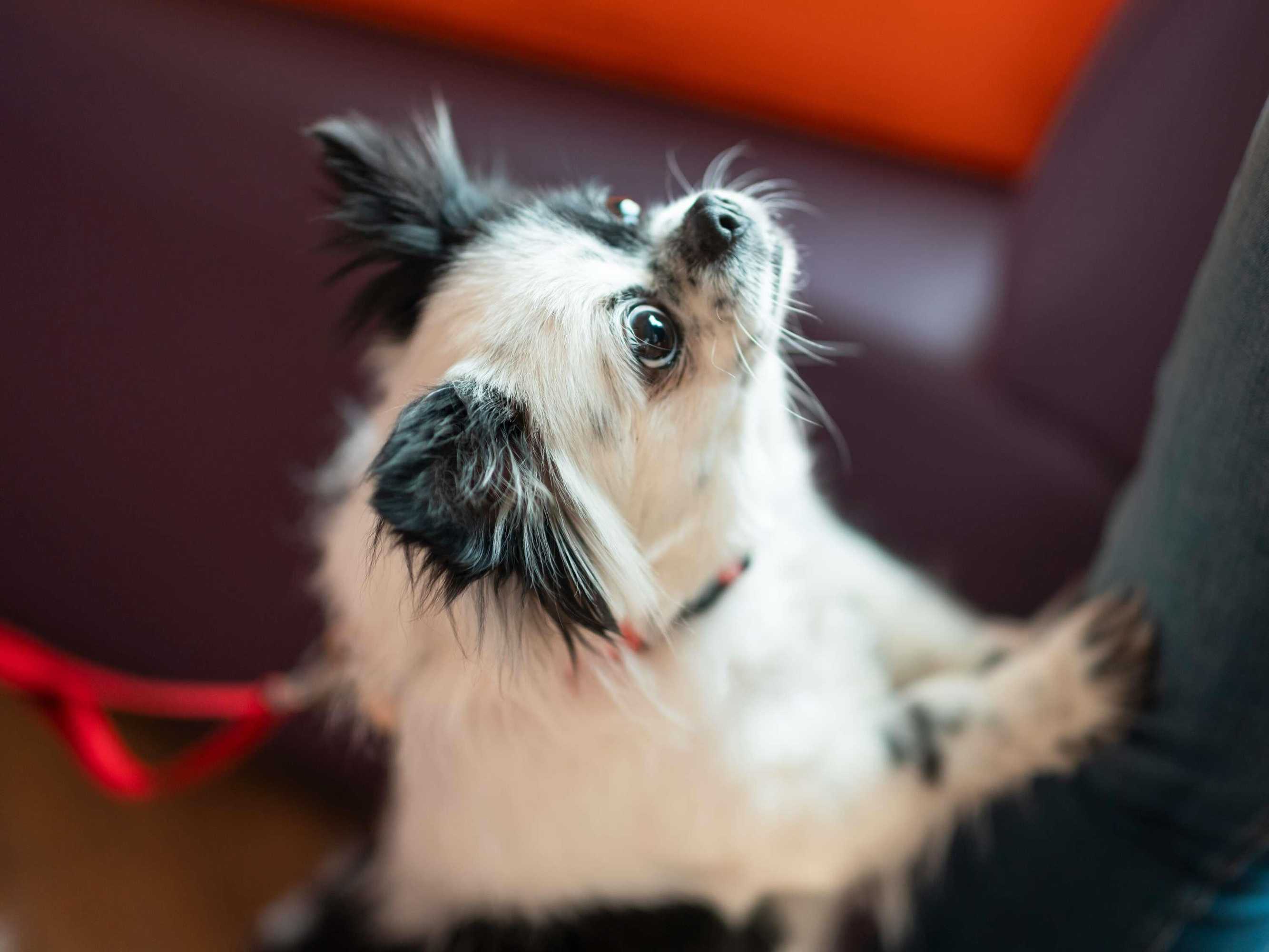 Gift card for Ibis Carlisle – City Centre