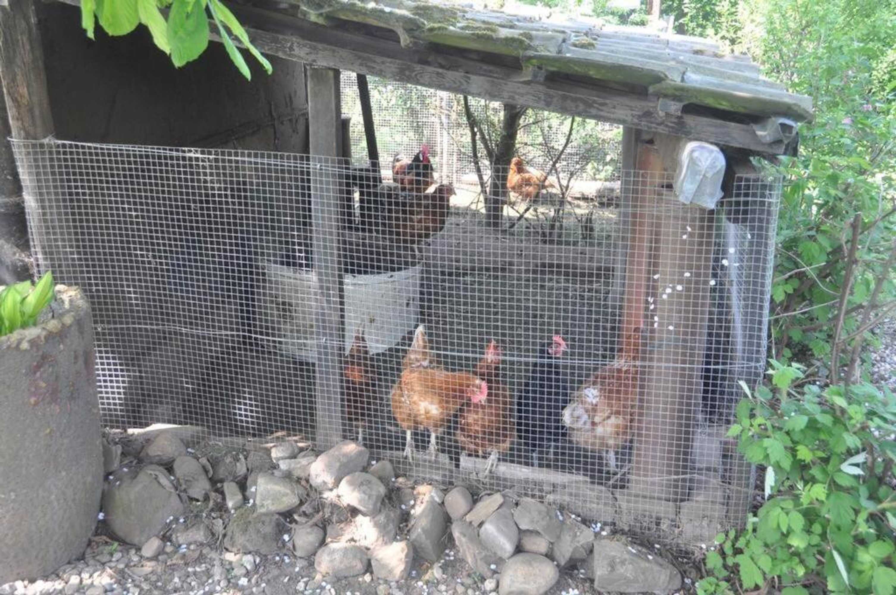 Gift card for Halte Bontebrug