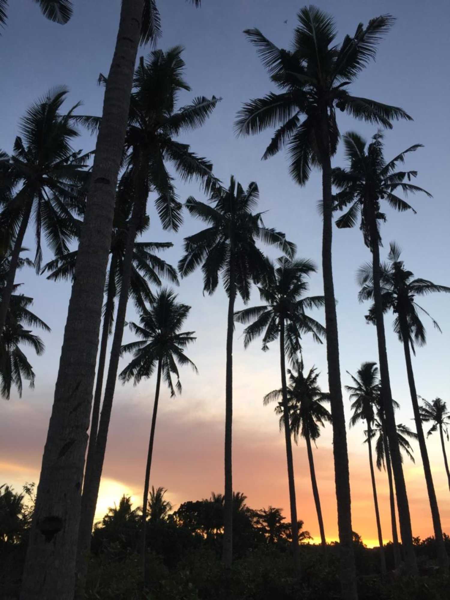 Gift card for Medewi Secret Surfcamp