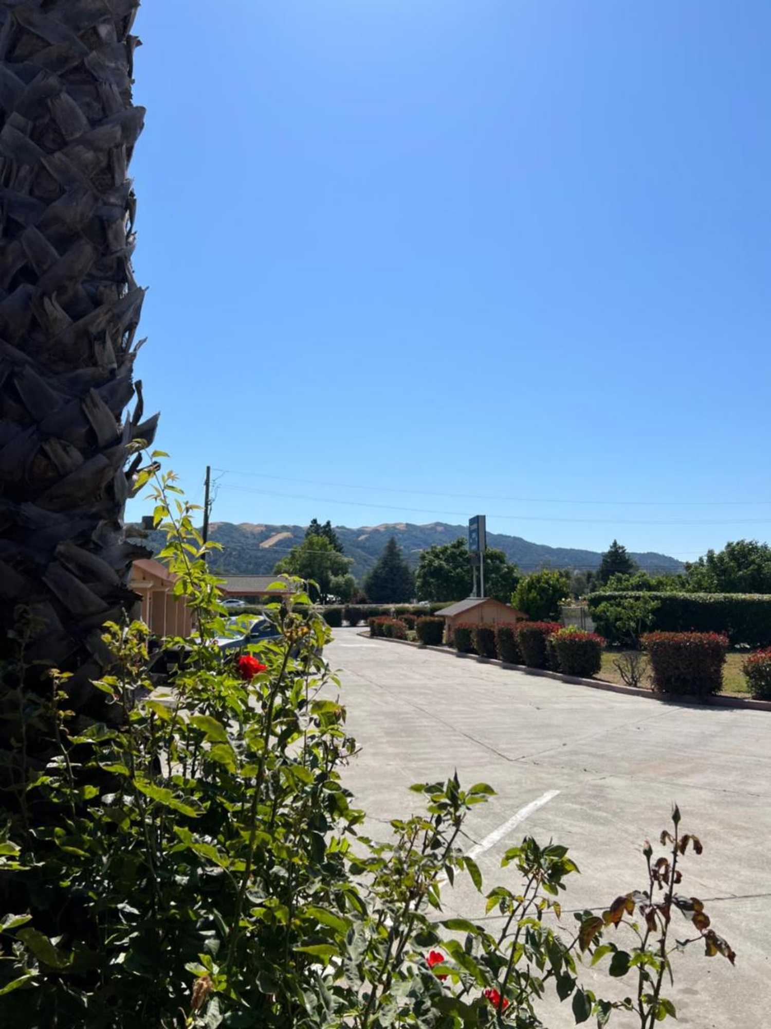 Gift card for Travel Inn Gilroy