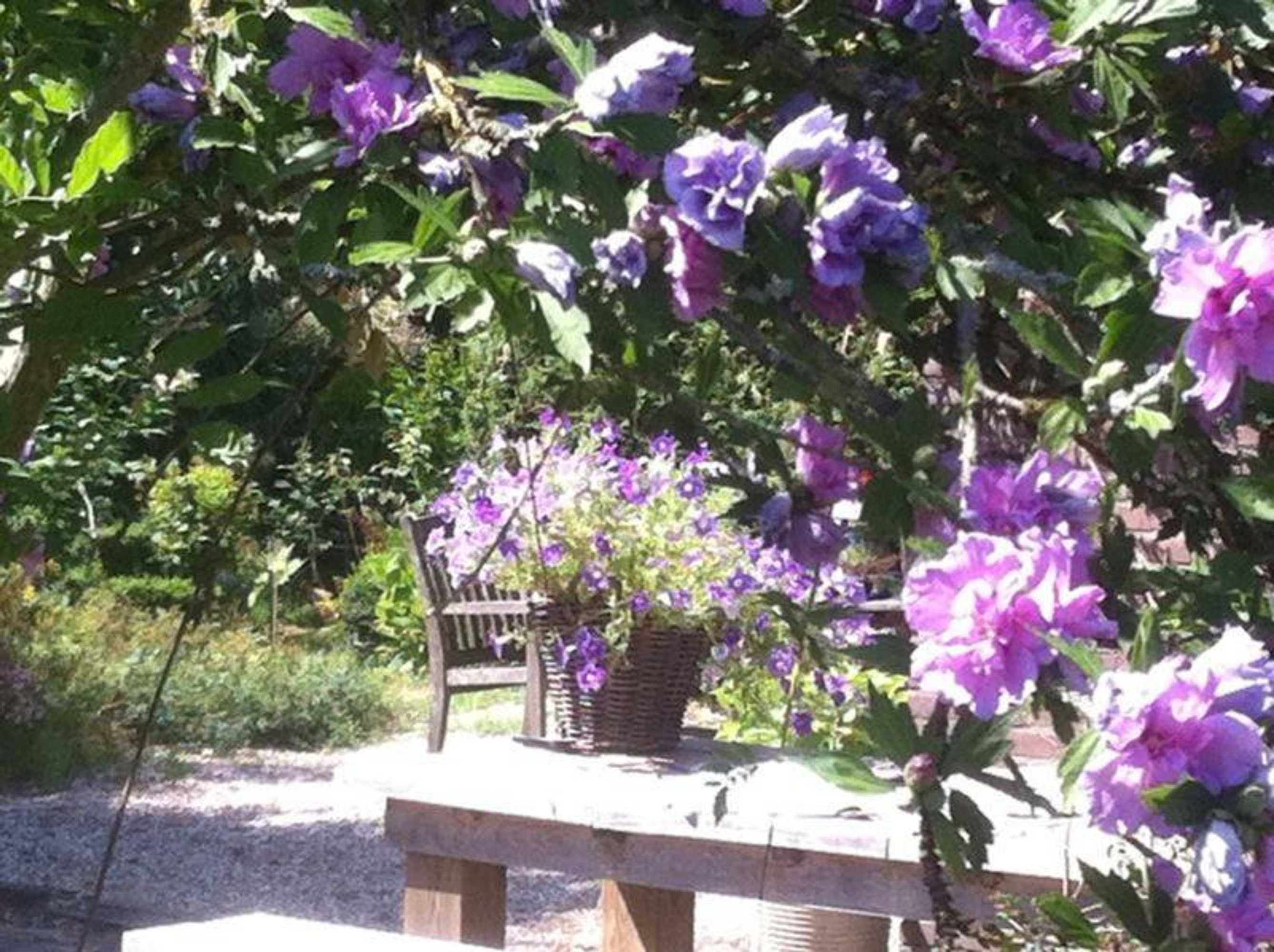 Gift card for La-Perchade