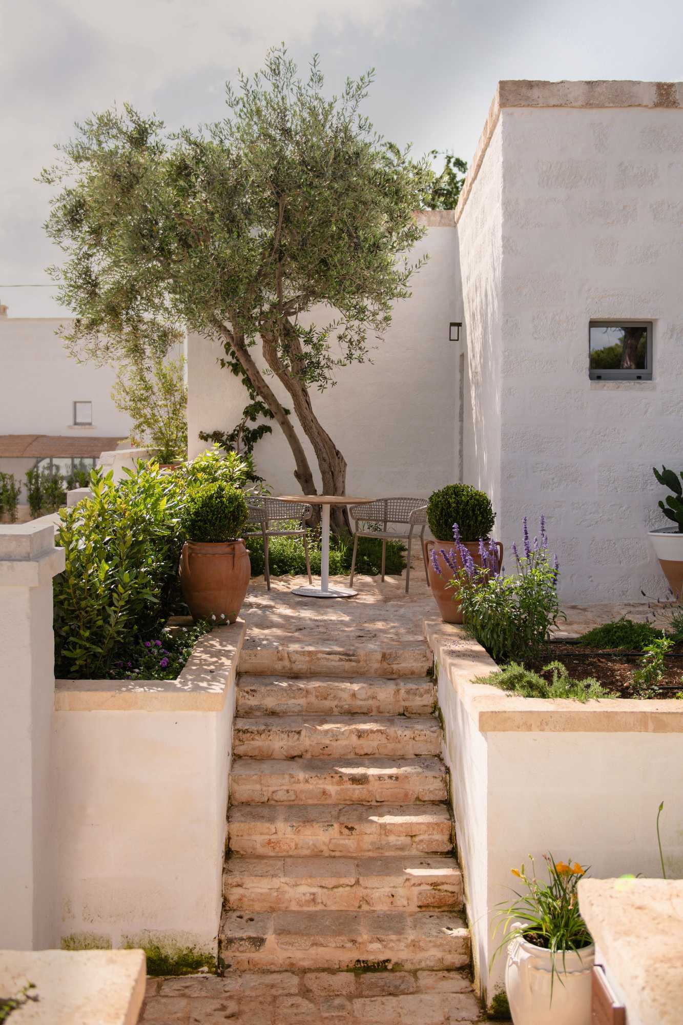 Gift card for Masseria Auraterrae Gift card for Masseria Auraterrae