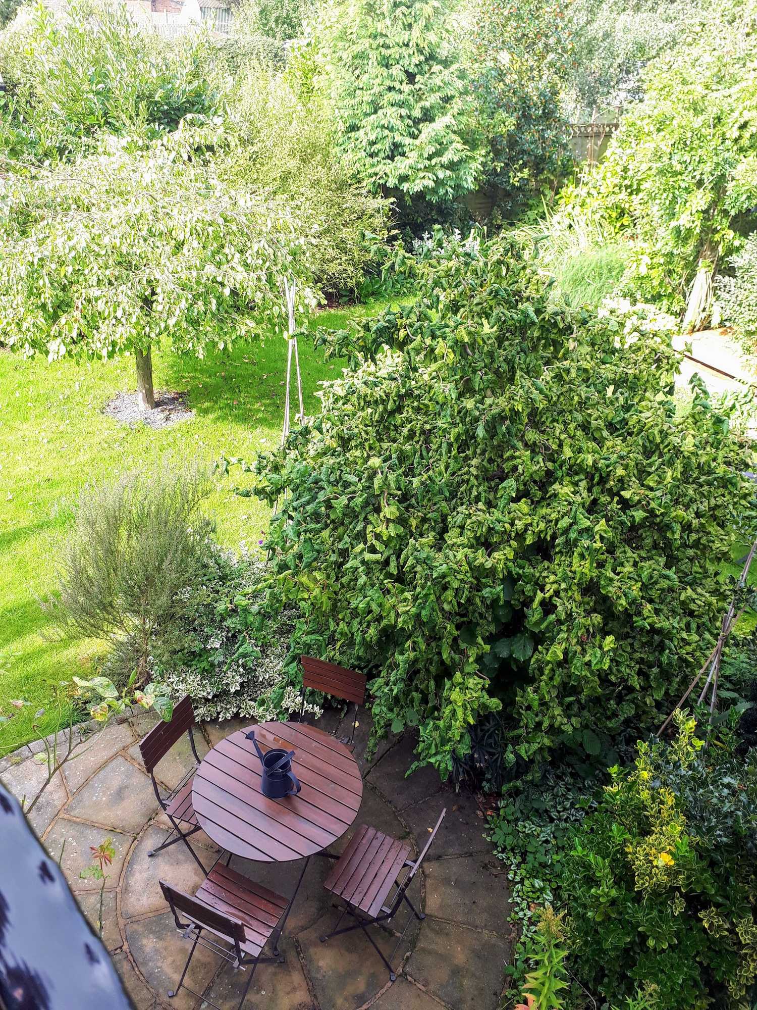 Gift card for Field View B&b