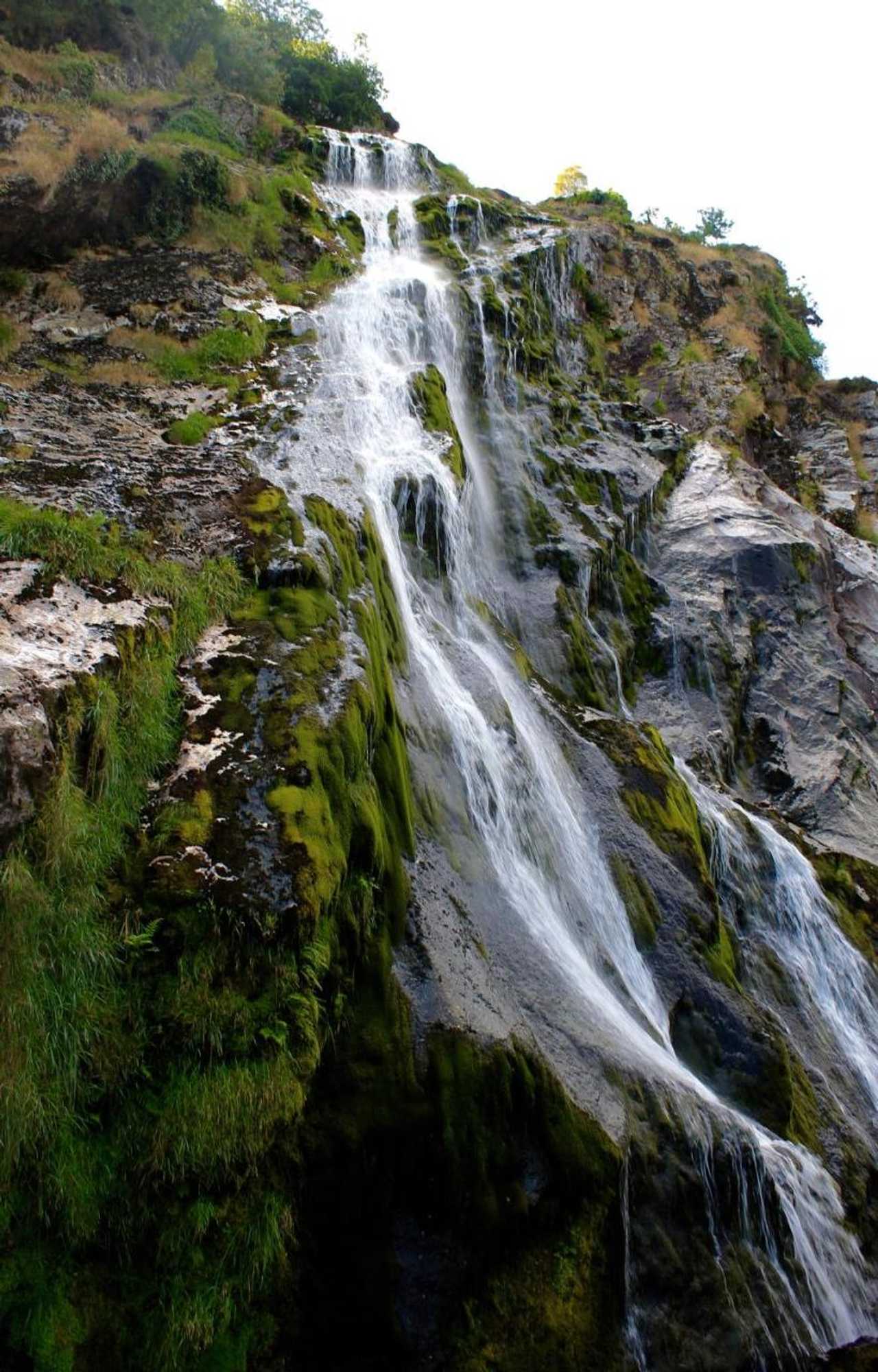 Gift card for The Nook County Dublin