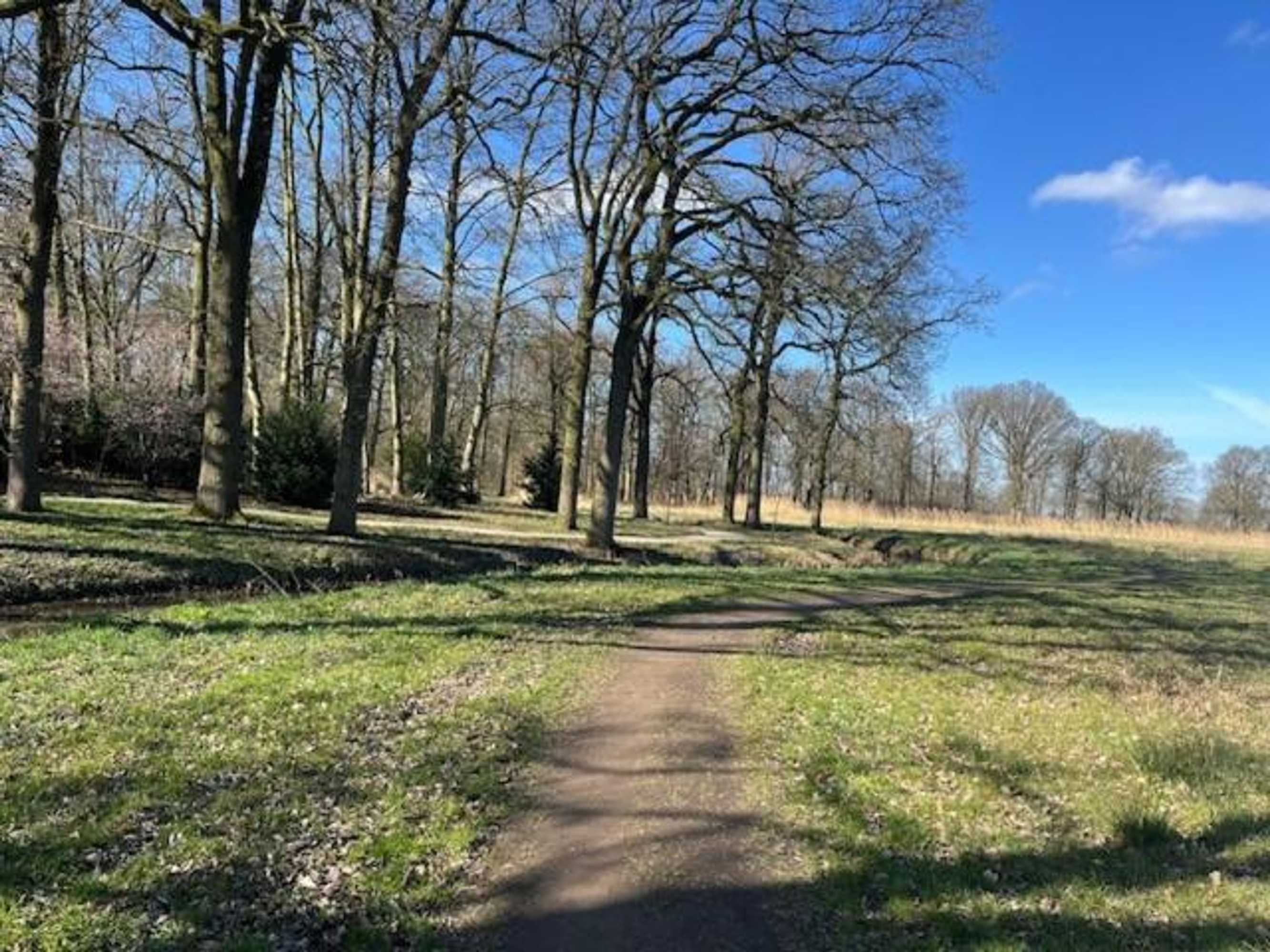 Gift card for @thelodge