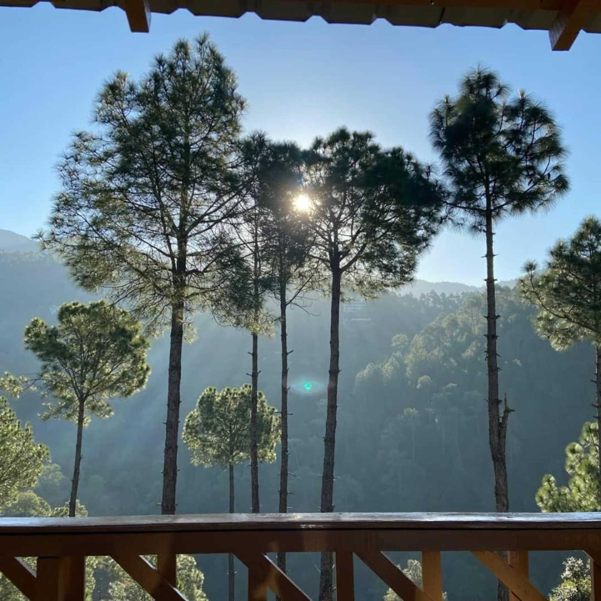 Gift card for Golden Valley Cottages, Chail Gift card for Golden Valley Cottages, Chail