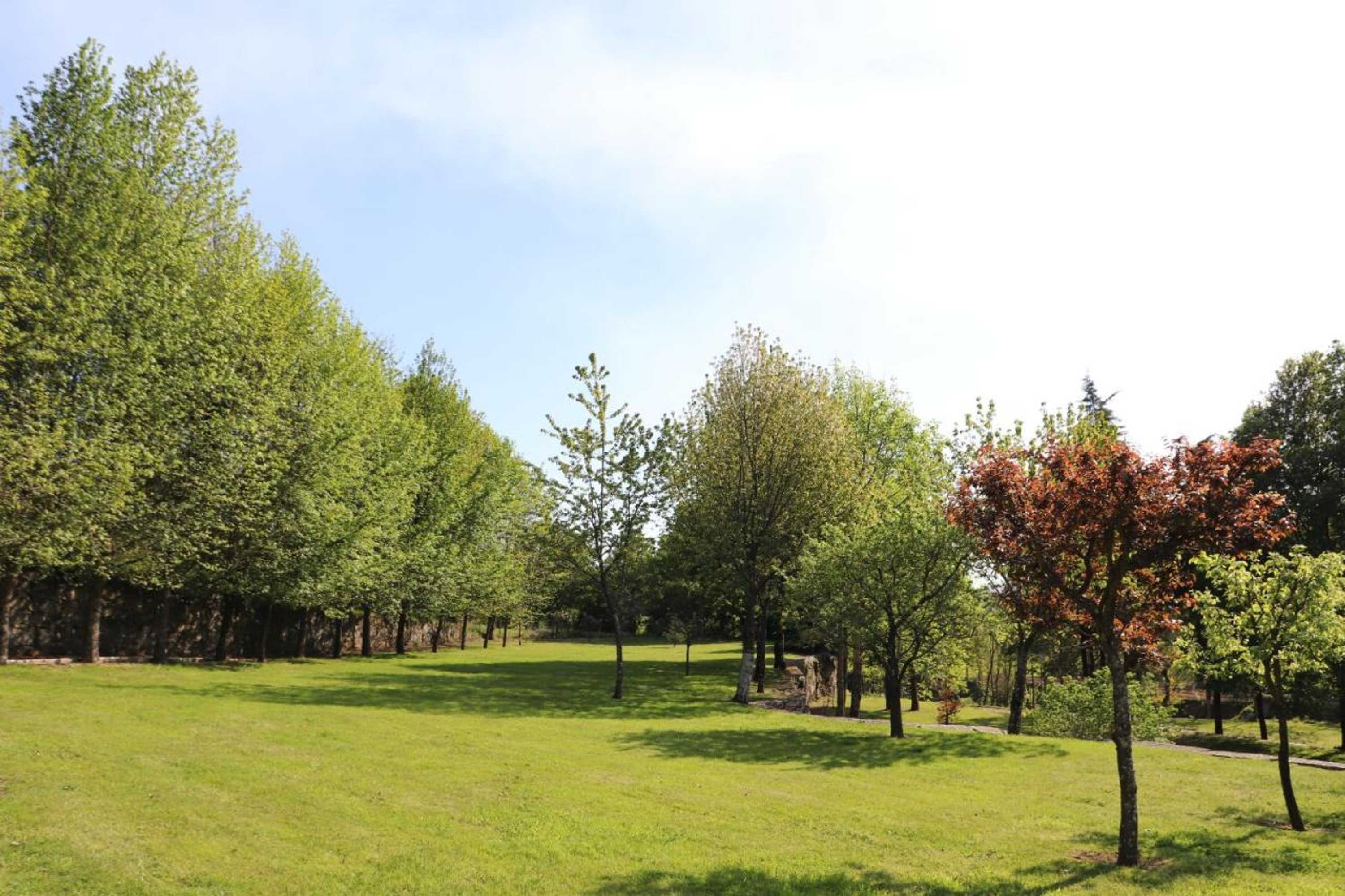 Gift card for Cazal Da Lamella