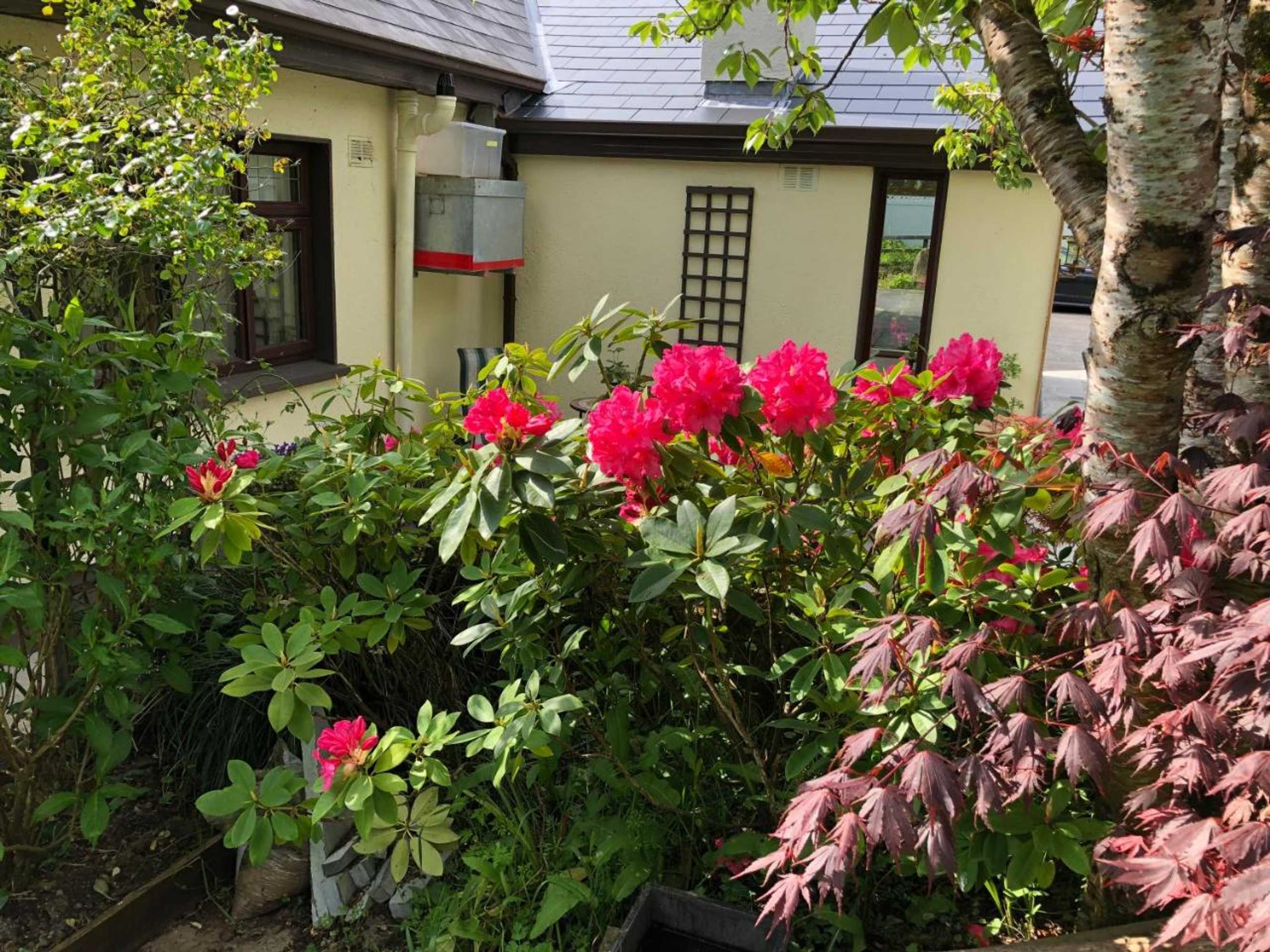 Gift card for Dunaree Bunratty