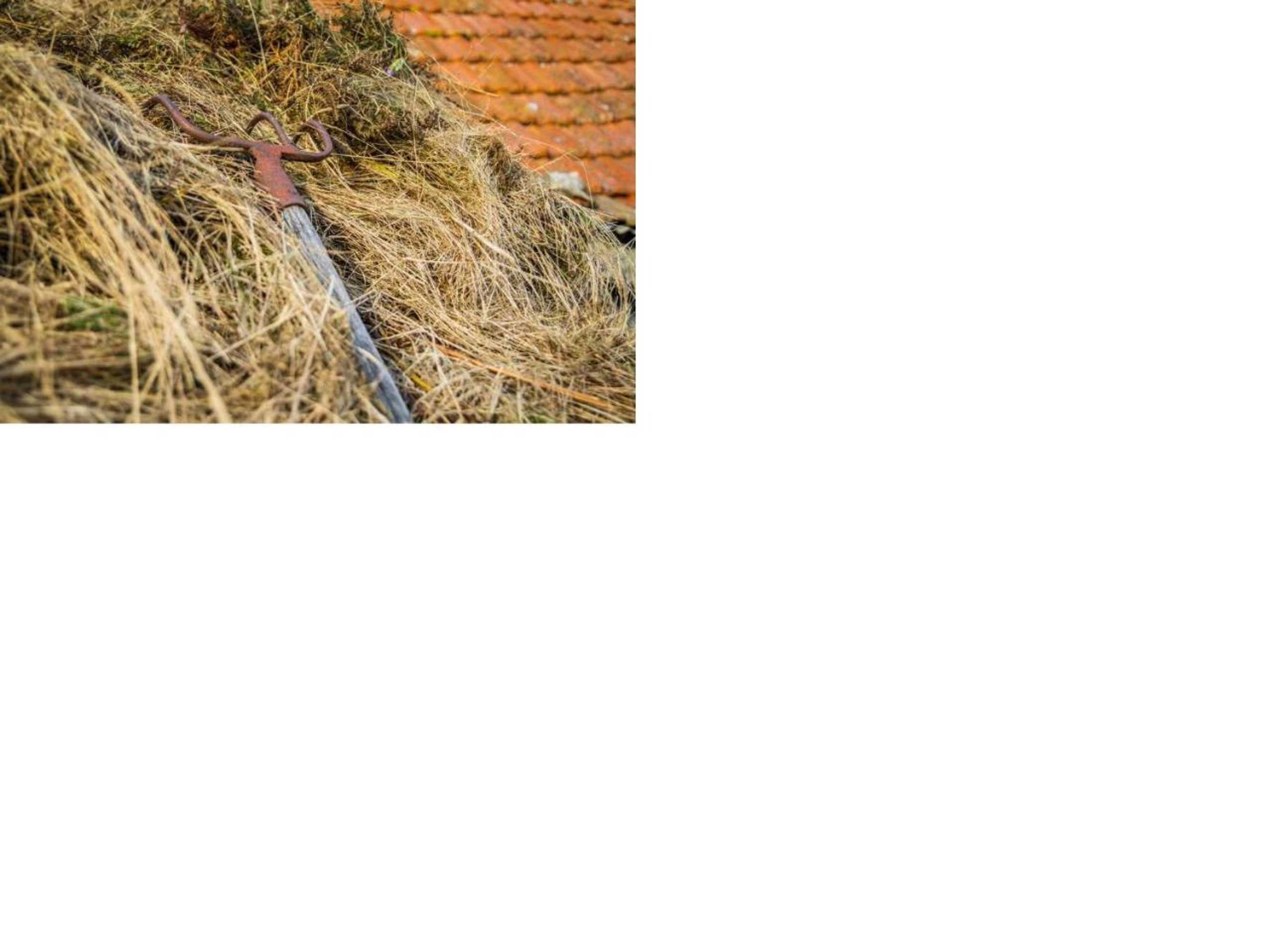 Gift card for Isatour Casa na Serra