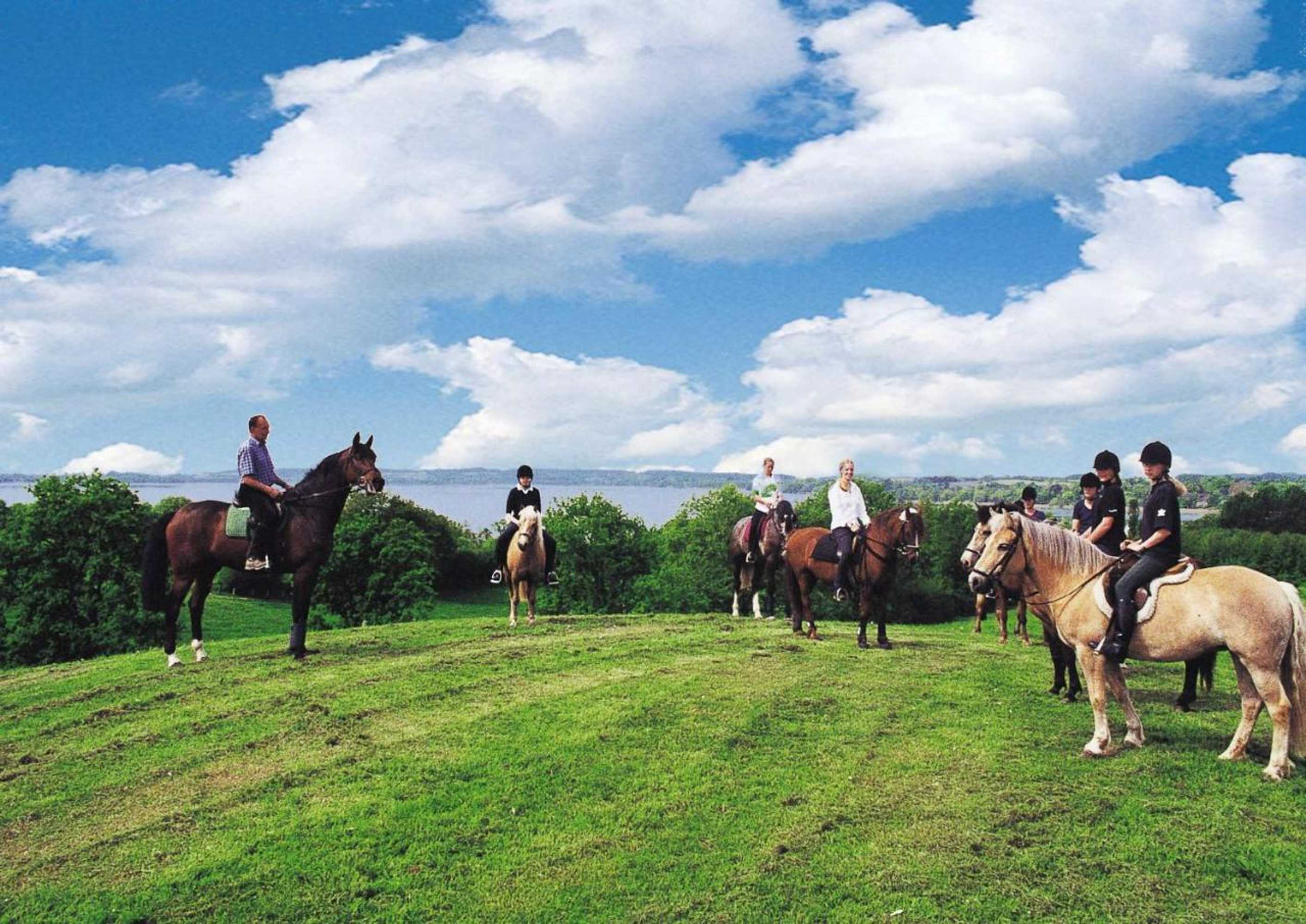 Gift card for Ponyhof Naeve am Wittensee