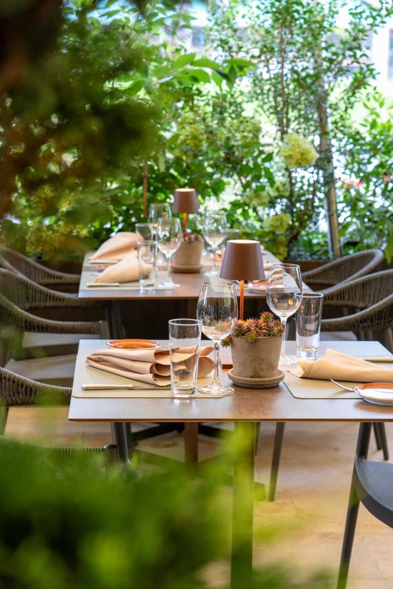 Gift card for Frohsinn