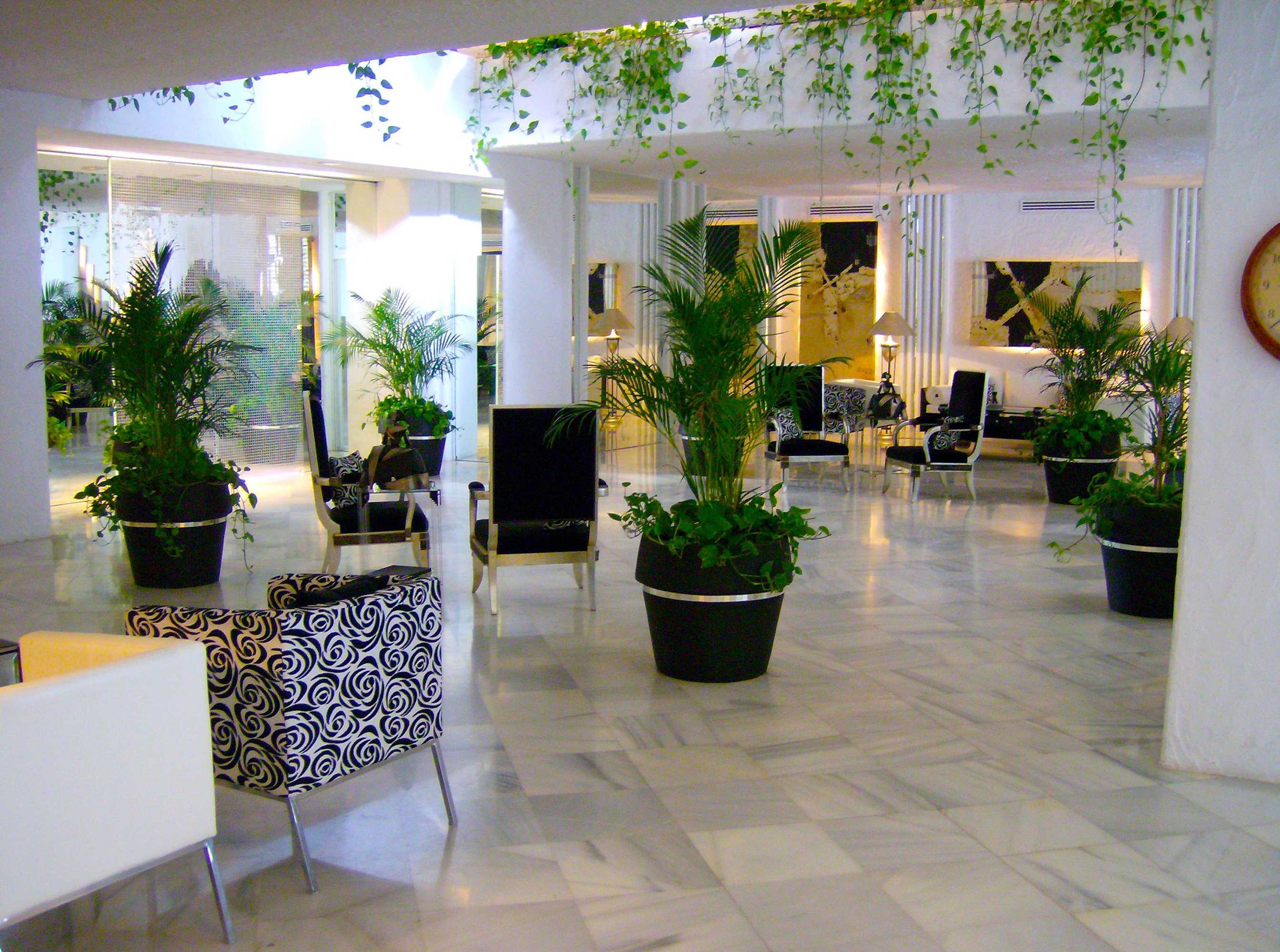 Gift card for Hotel Suites Albayzin Del Mar Gift card for Hotel Suites Albayzin Del Mar