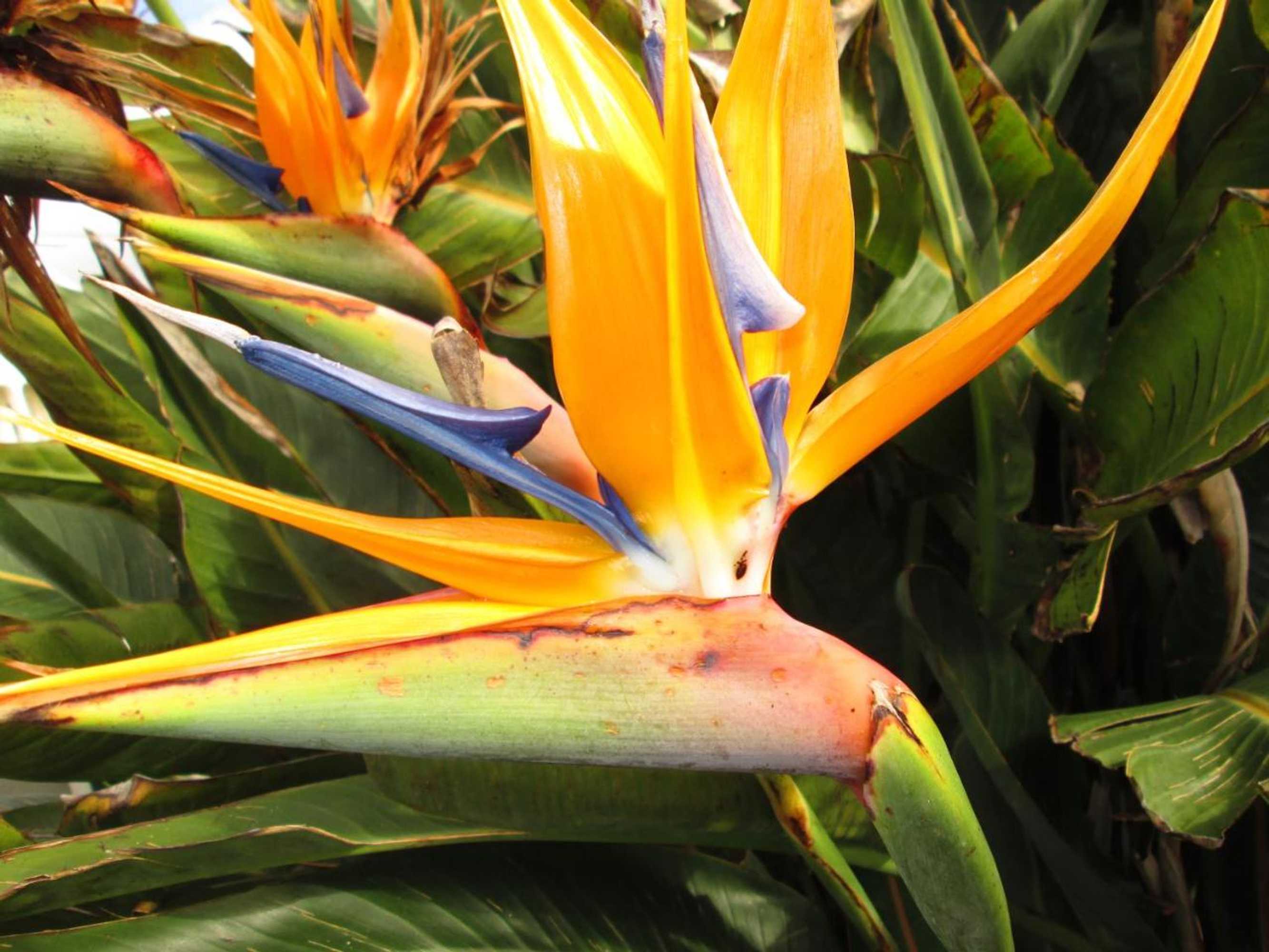 Gift card for Residência Machado