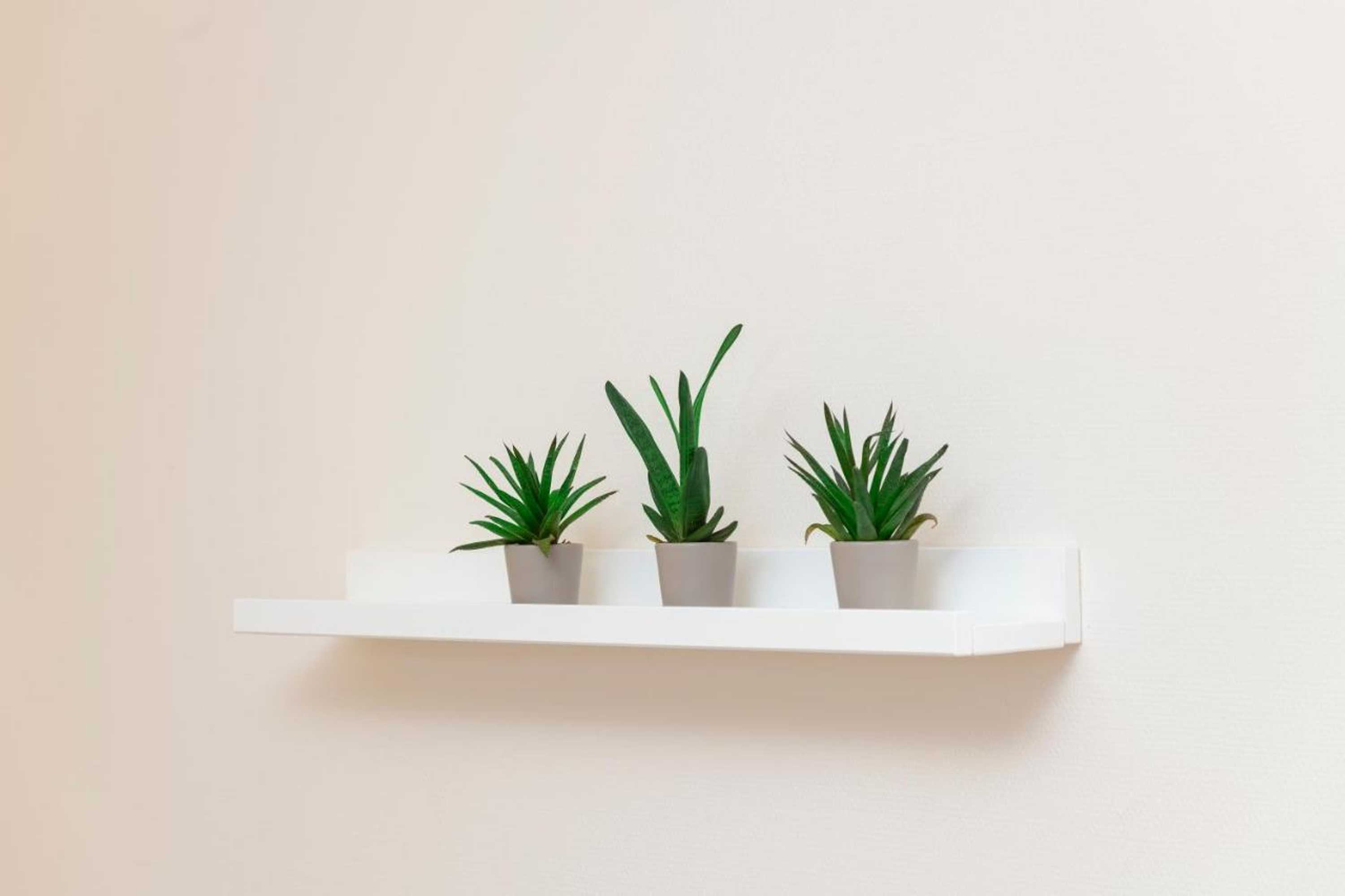 Gift card for Hotel Restaurant Sokrates