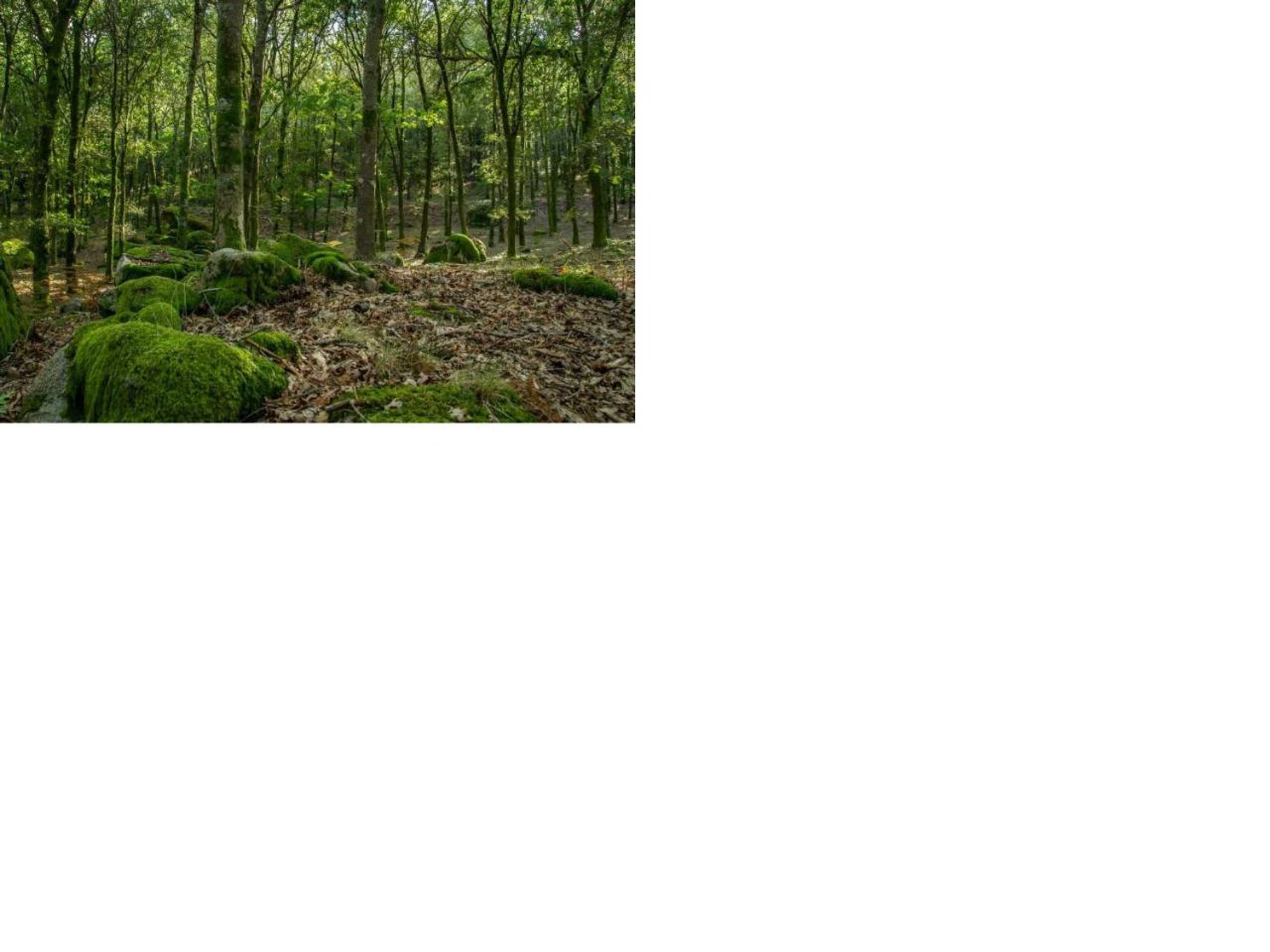 Gift card for Isatour Casa na Serra