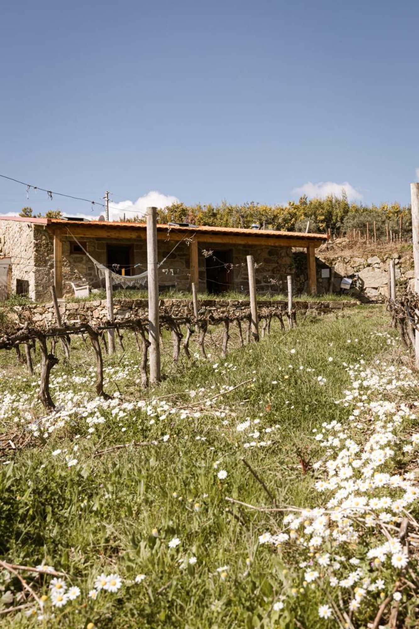 Gift card for Quinta da Portela - Casa Visconde Arneiros Gift card for Quinta da Portela - Casa Visconde Arneiros