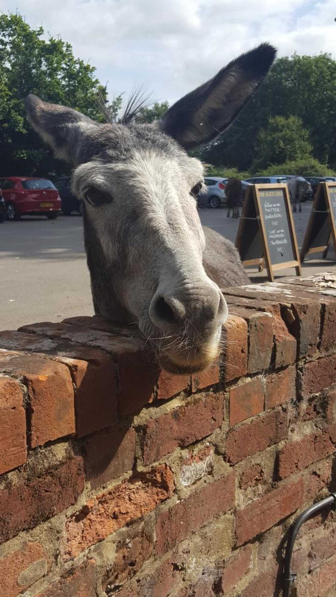 Gift card for Cypress Log Cabins Accommodation Gift card for Cypress Log Cabins Accommodation