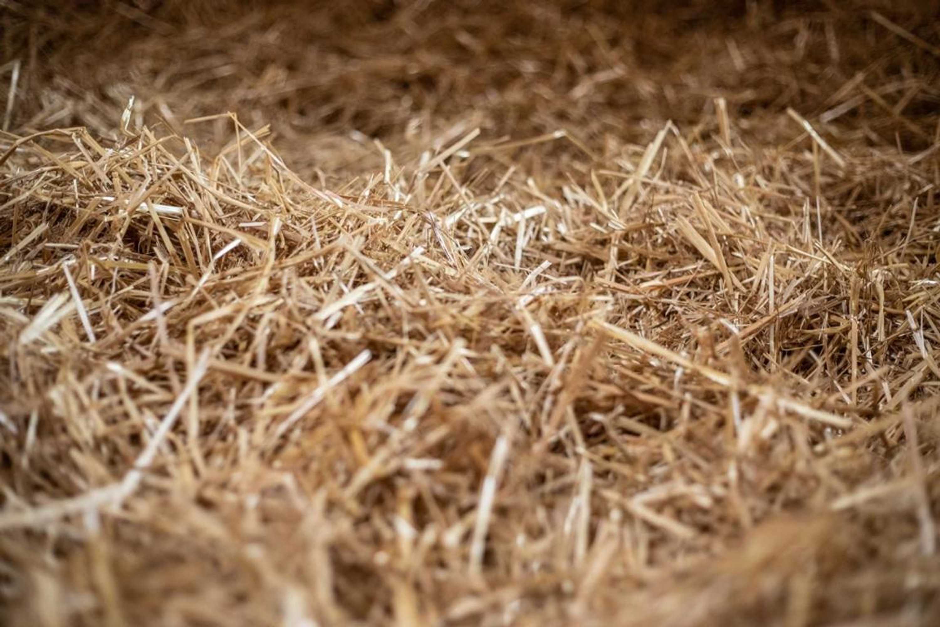 Gift card for Hof-Tschannen