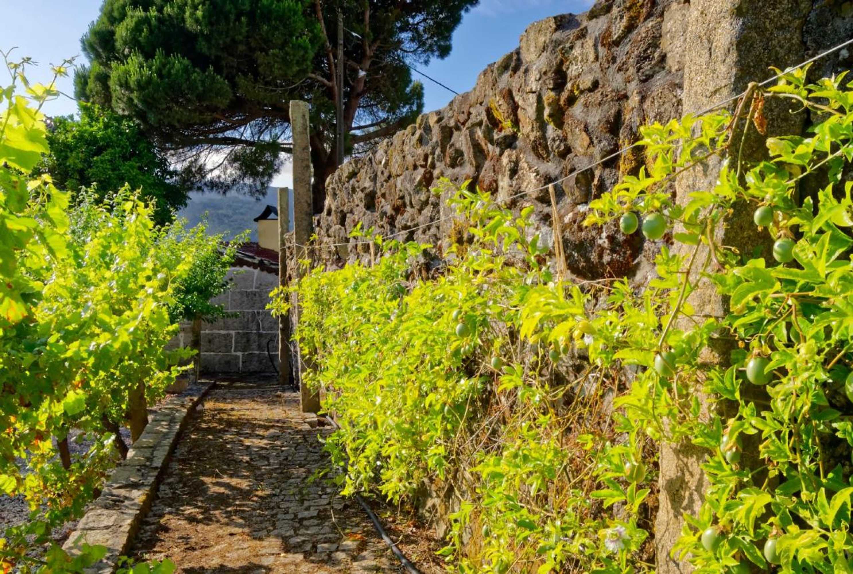 Gift card for Zen Vouga - Quinta do Fundo de Vila