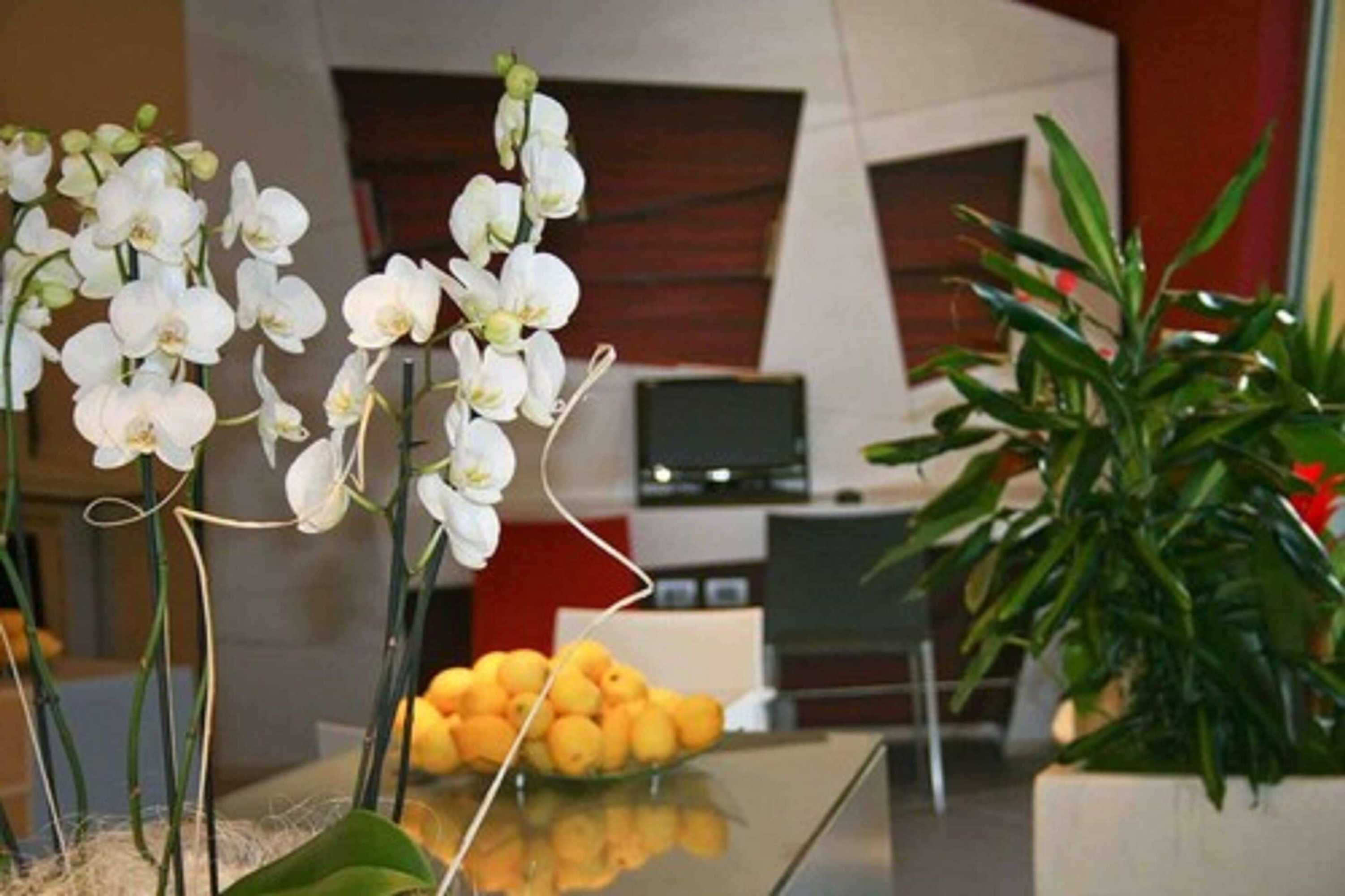 Gift card for Ibis Styles Catania Acireale Gift card for Ibis Styles Catania Acireale