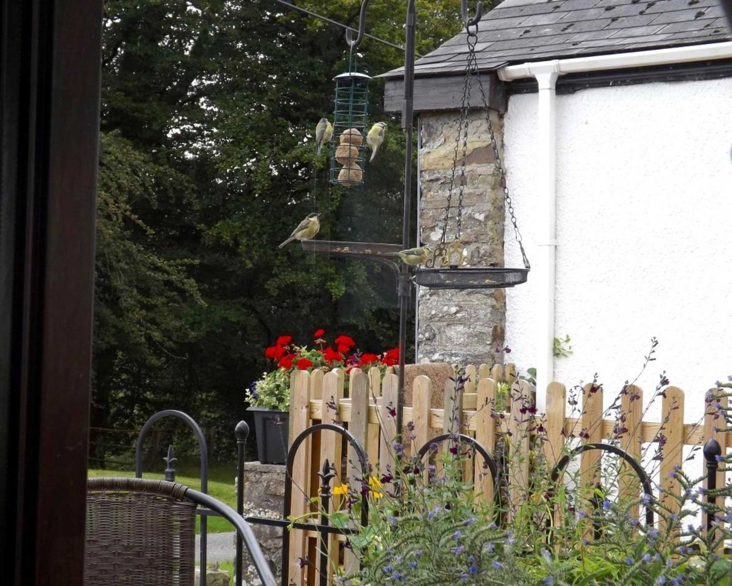 Gift card for Dairy Cottage Dulverton